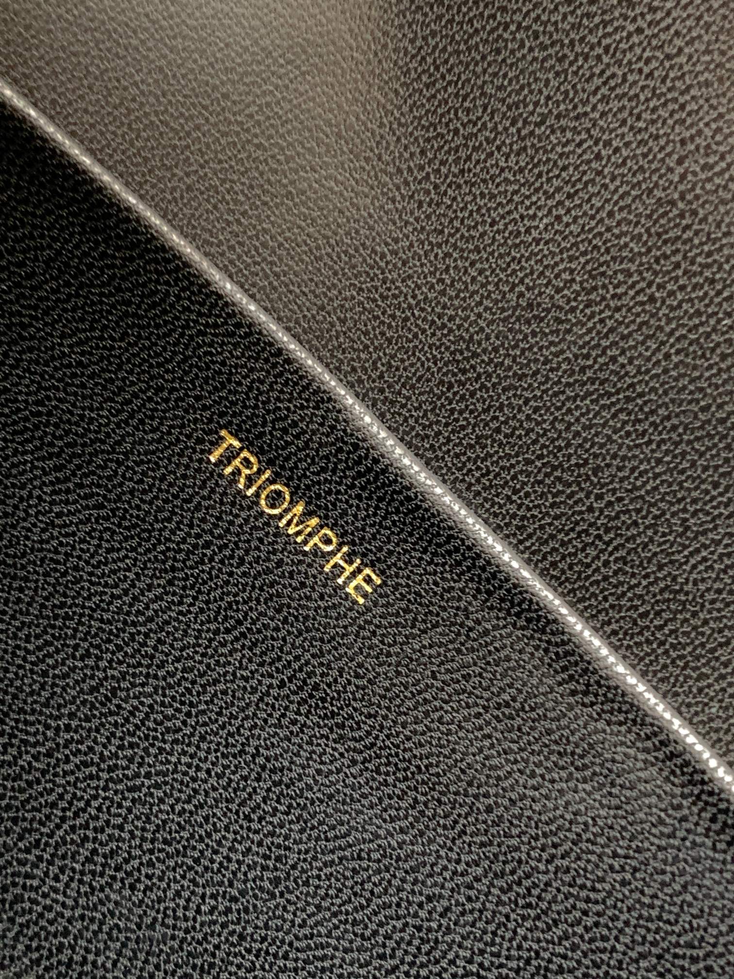 [TOP] CELINE Triomphe Bag Sequin Chain Underarm Bag 20.5*10.5*4cm - 2 Colour