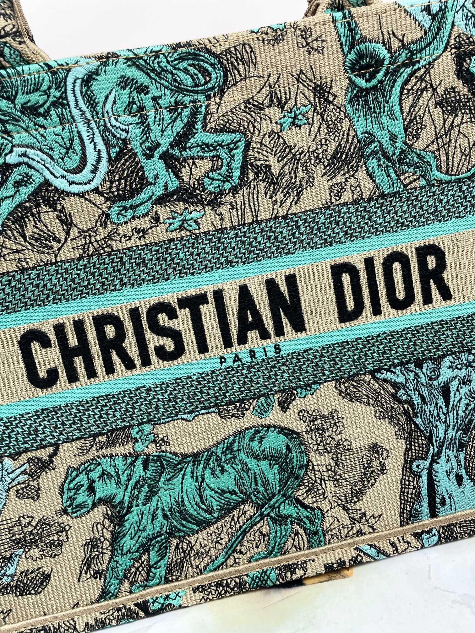 [TOP] Christian Dior Book Tote Bag 3 Sizes - Green
