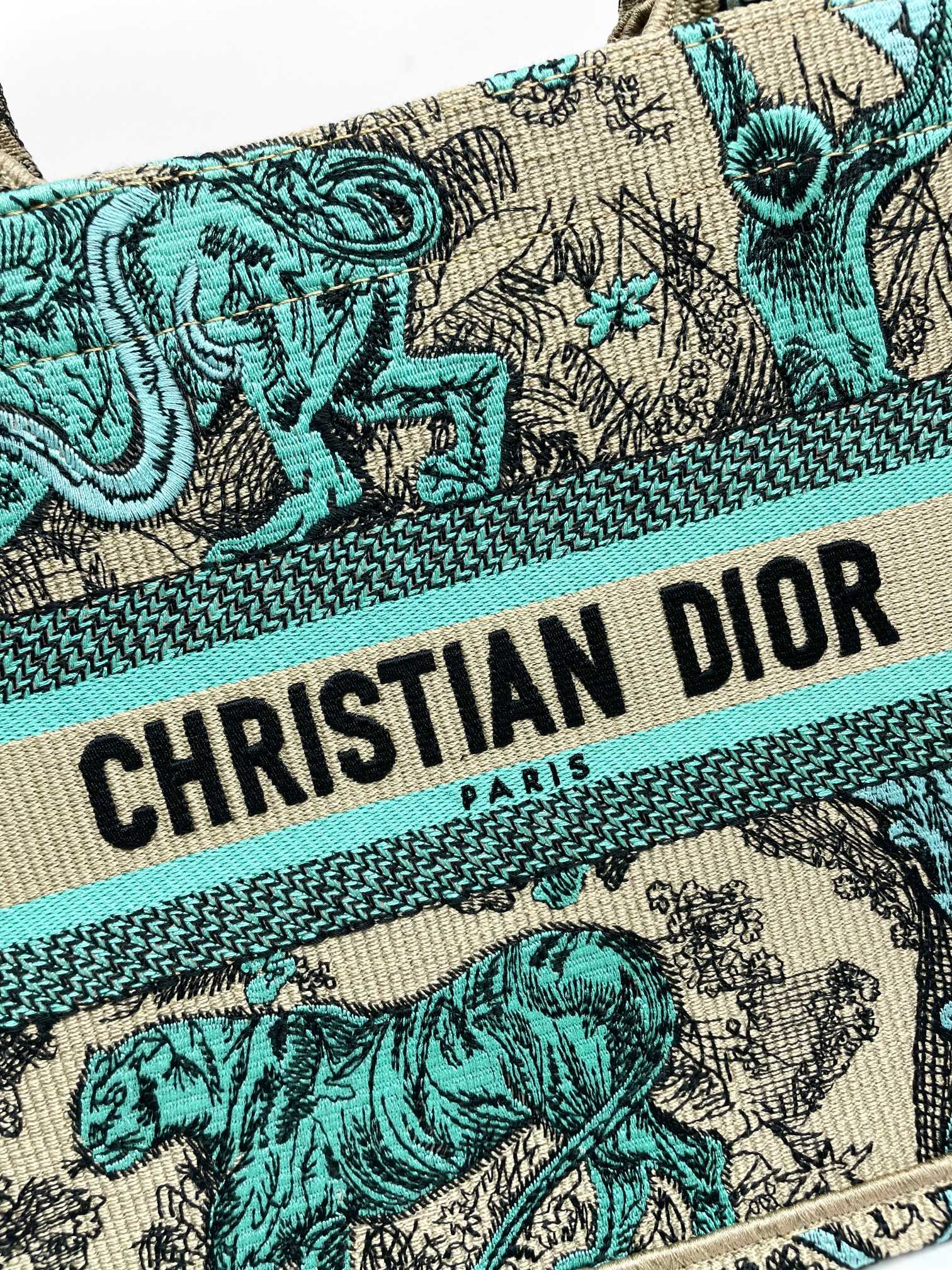 [TOP] Christian Dior Book Tote Bag 3 Sizes - Green
