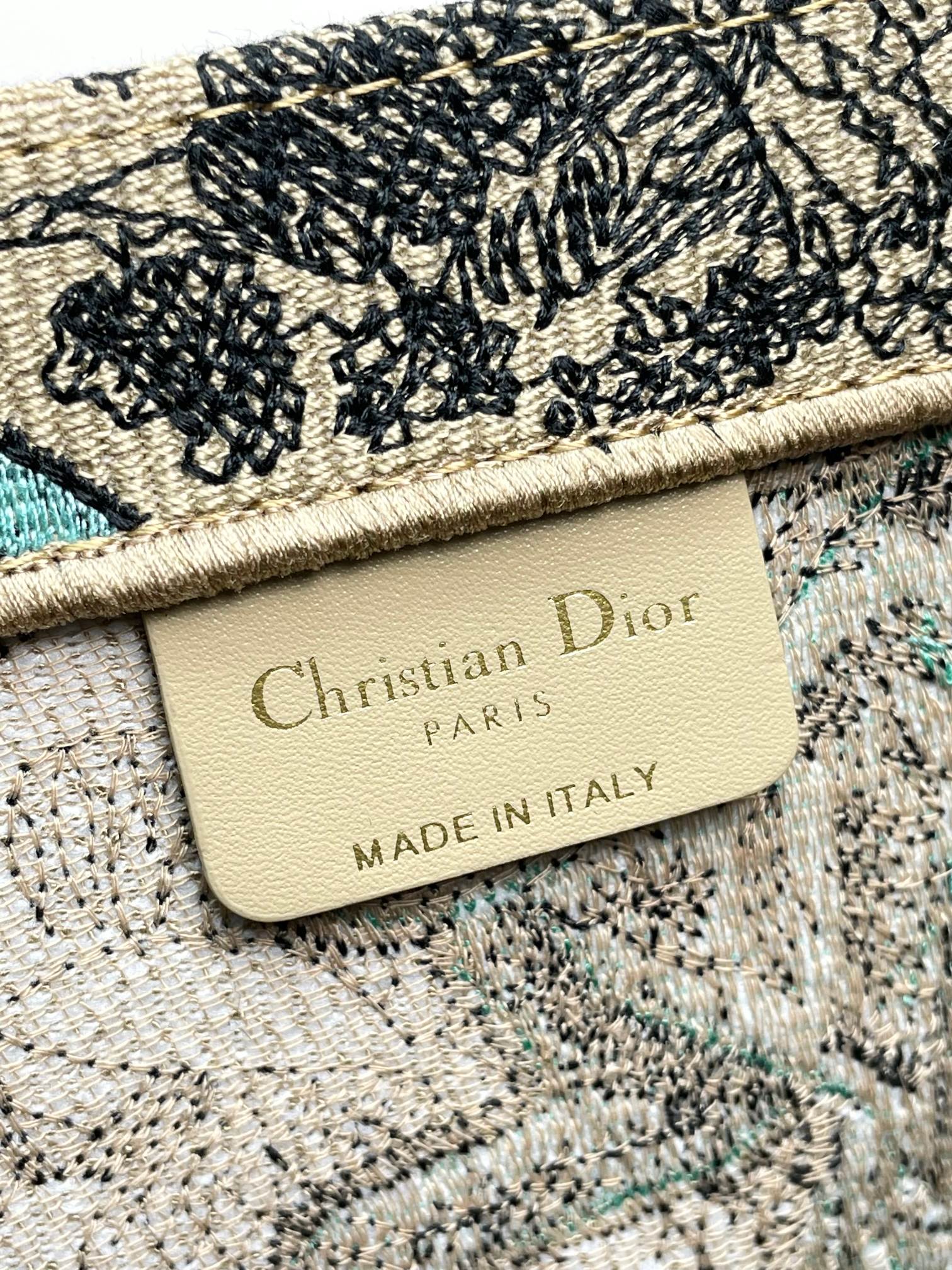 [TOP] Christian Dior Book Tote Bag 3 Sizes - Green