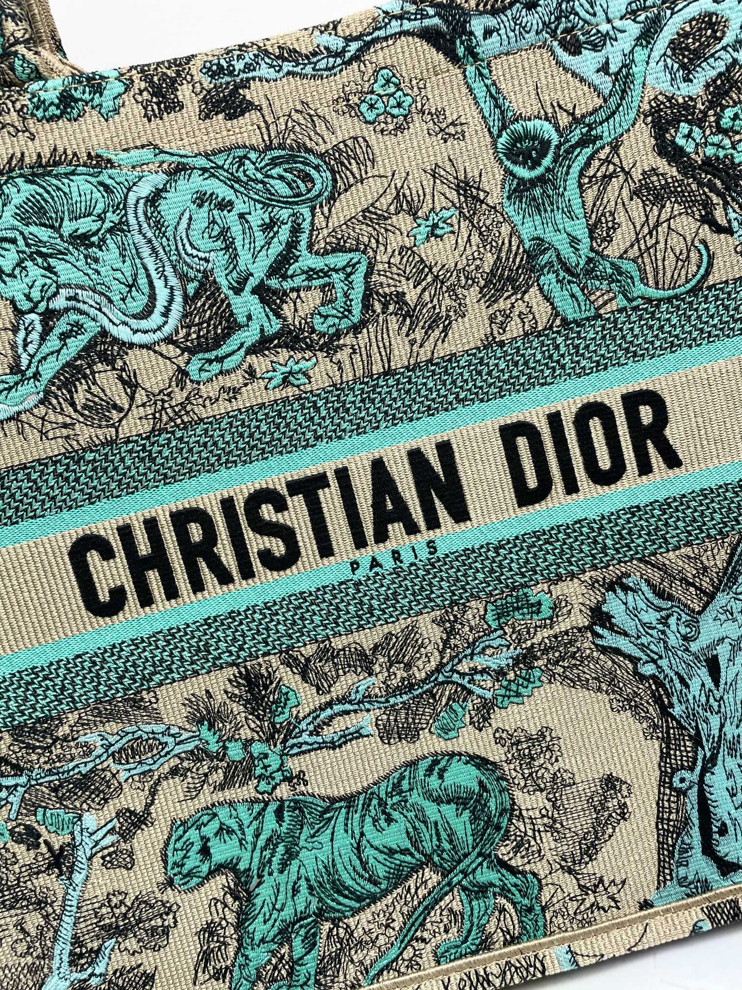 [TOP] Christian Dior Book Tote Bag 3 Sizes - Green