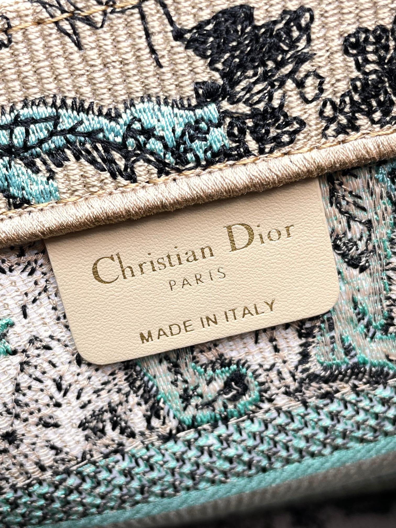 [TOP] Christian Dior Book Tote Bag 3 Sizes - Green