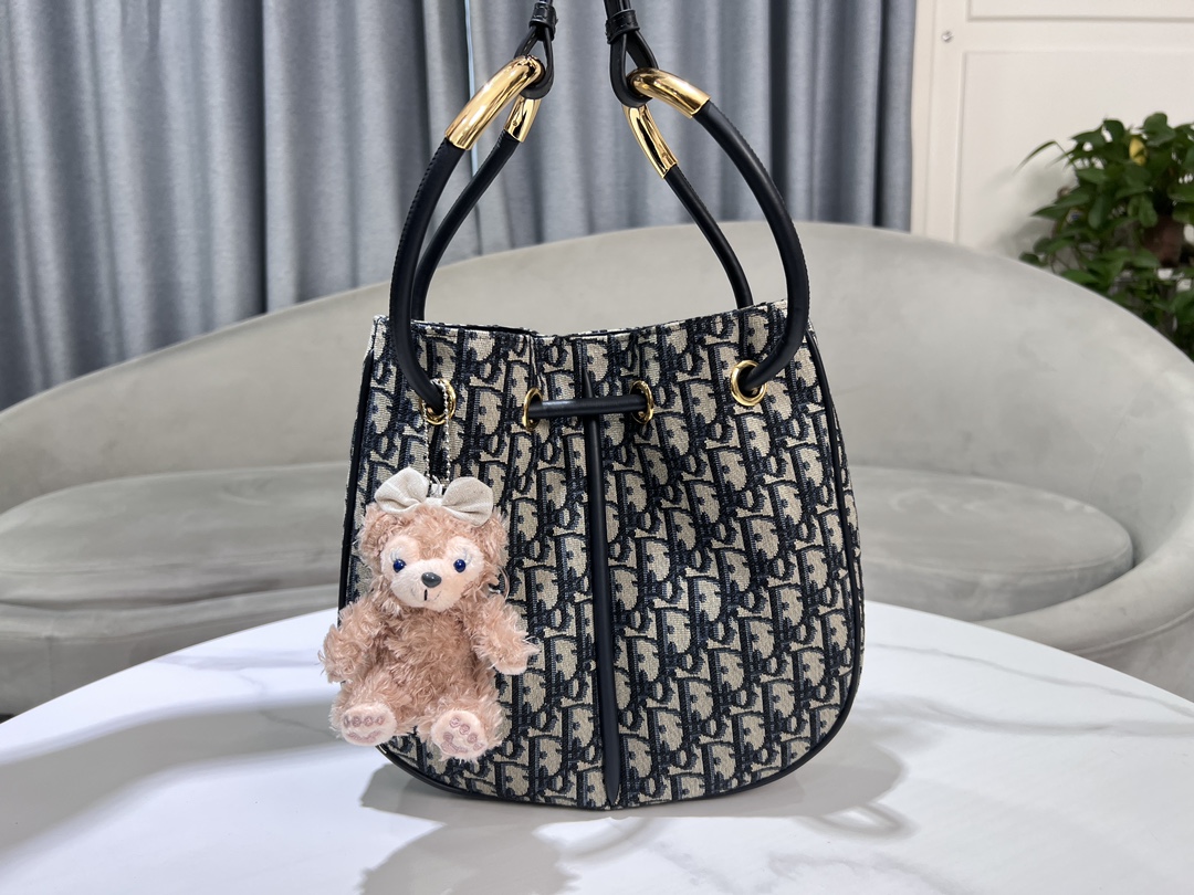 [TOP] Christian Dior Nolita Bag 2 Sizes - Oblique