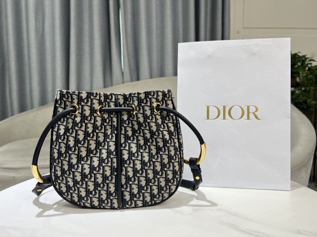 [TOP] Christian Dior Nolita Bag 2 Sizes - Oblique