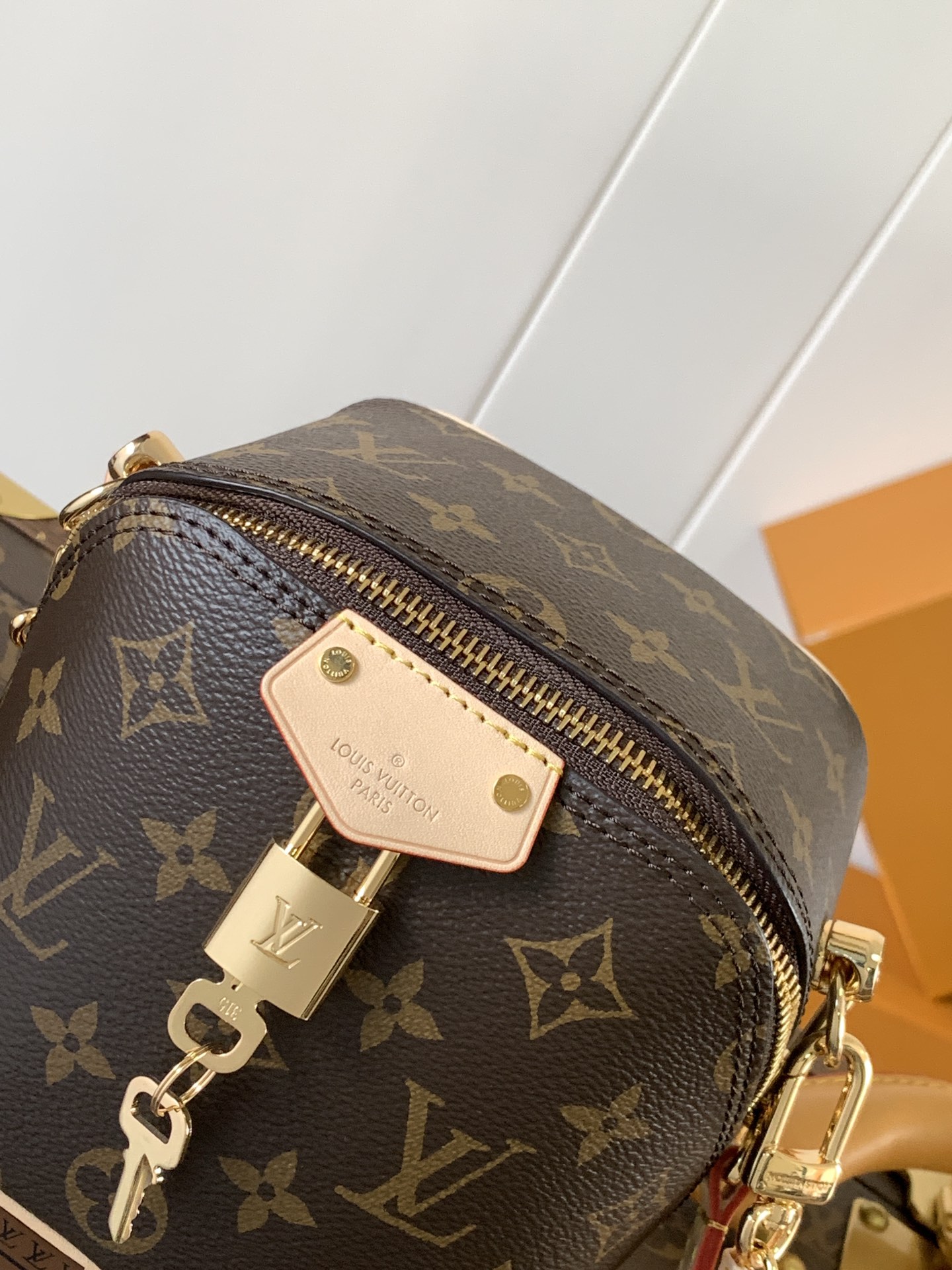 [TOP] Louis Vuitton LV Just In Case Bag 13 x 14 x 11.5 cm - Monogram