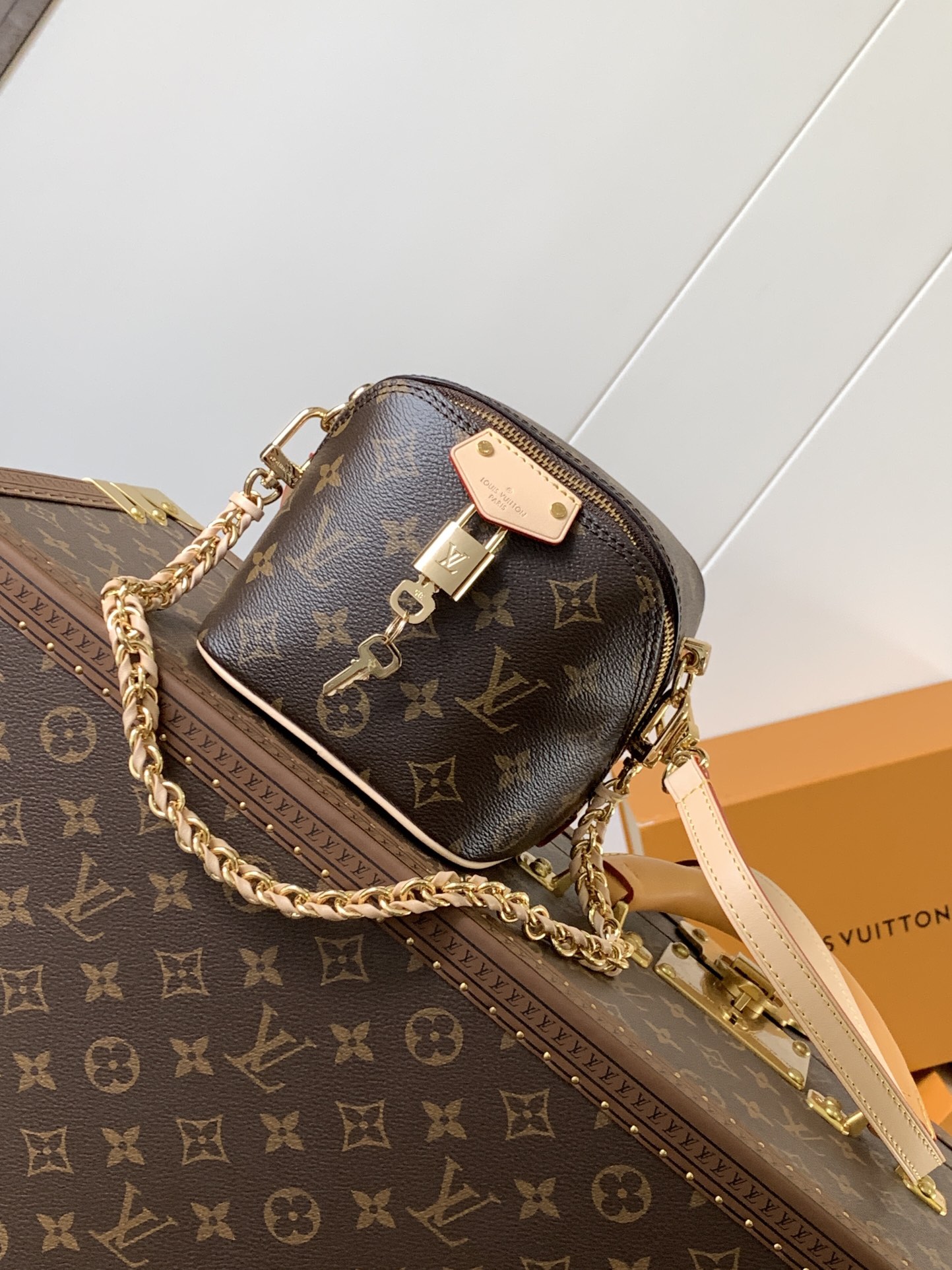 [TOP] Louis Vuitton LV Just In Case Bag 13 x 14 x 11.5 cm - Monogram