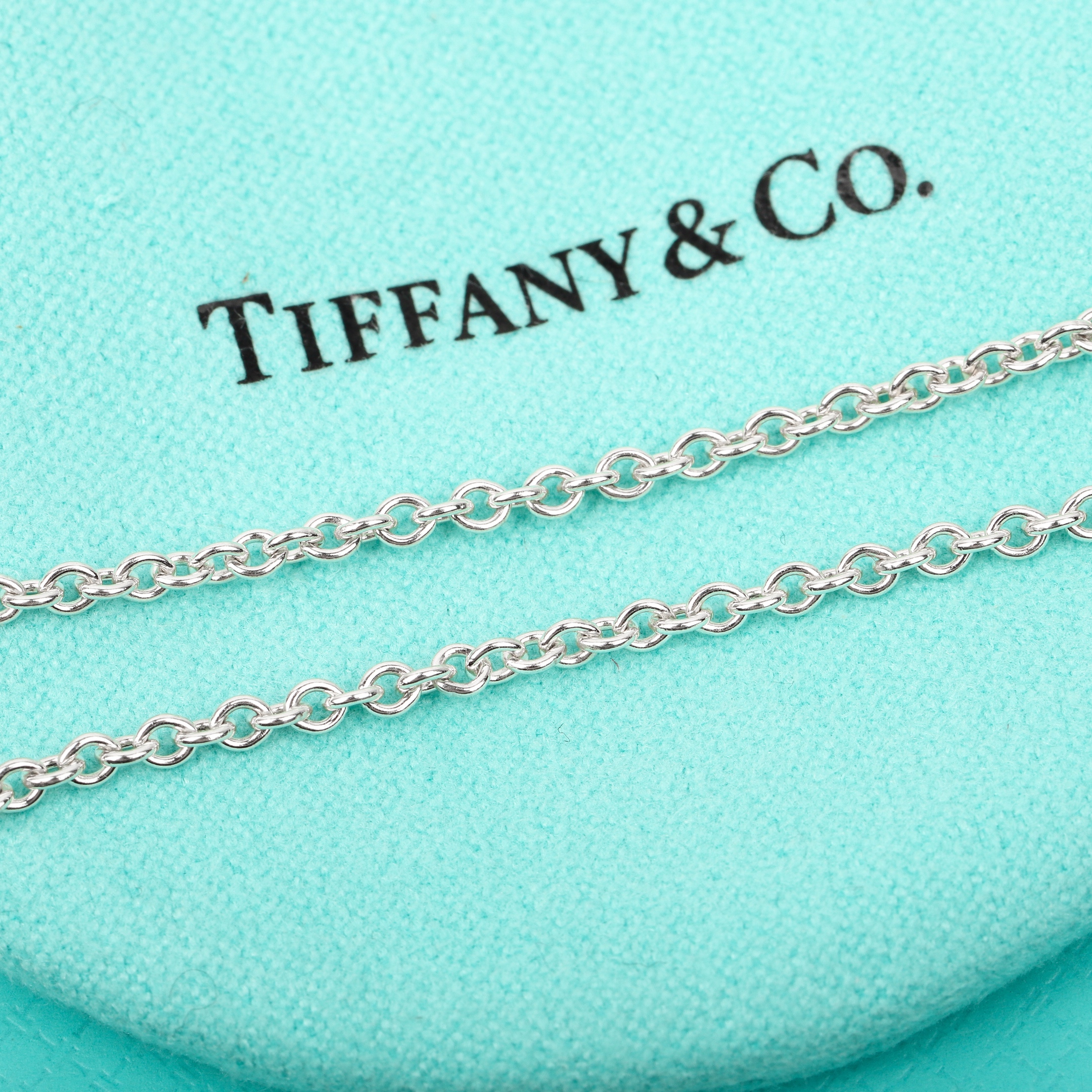 [TOP] Tiffany & Co. Necklace-Blue