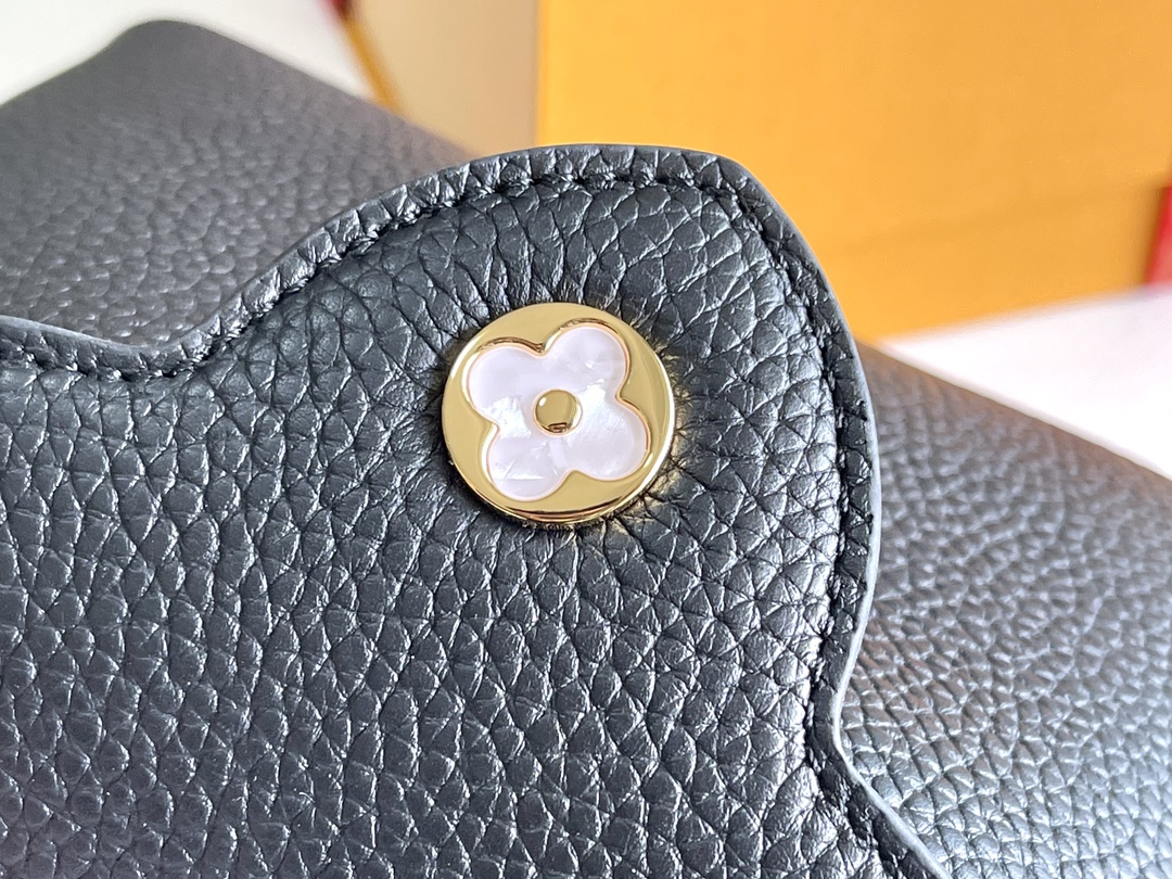 [TOP] Louis Vuitton LV Capucine Bag Mini 21x8x14 cm- Black