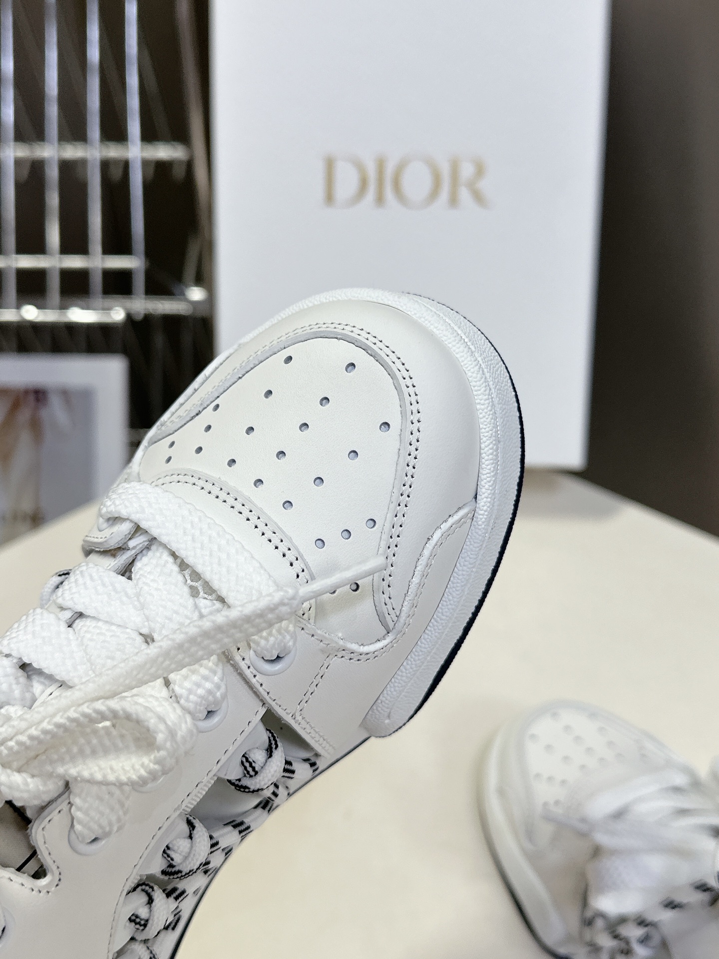 [TOP] Christian Dior Sneakers - 2 Colour