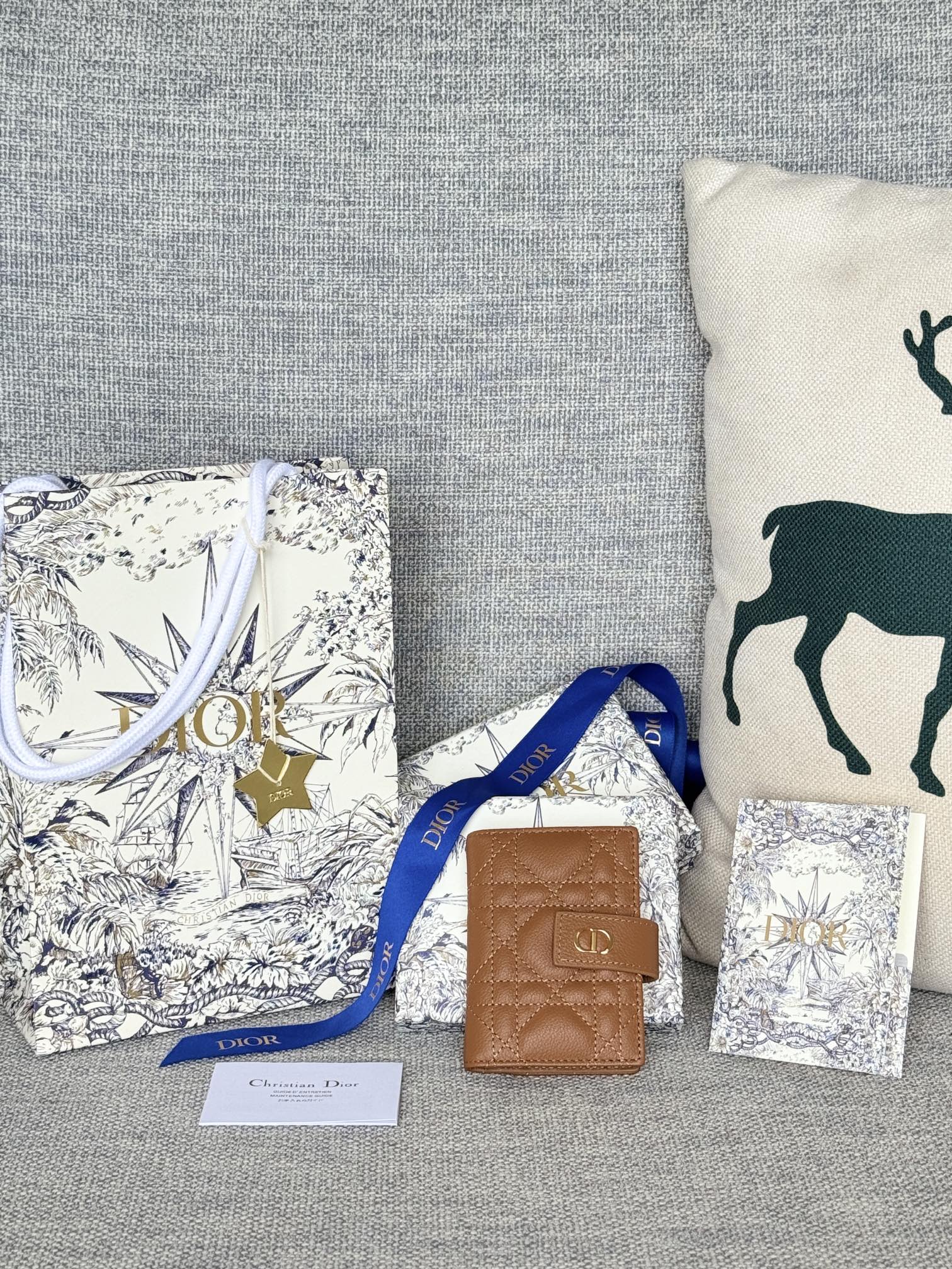 [TOP] Christian Dior Caro Dandelion Card Holder 11x8x1.3cm - 10 Colors