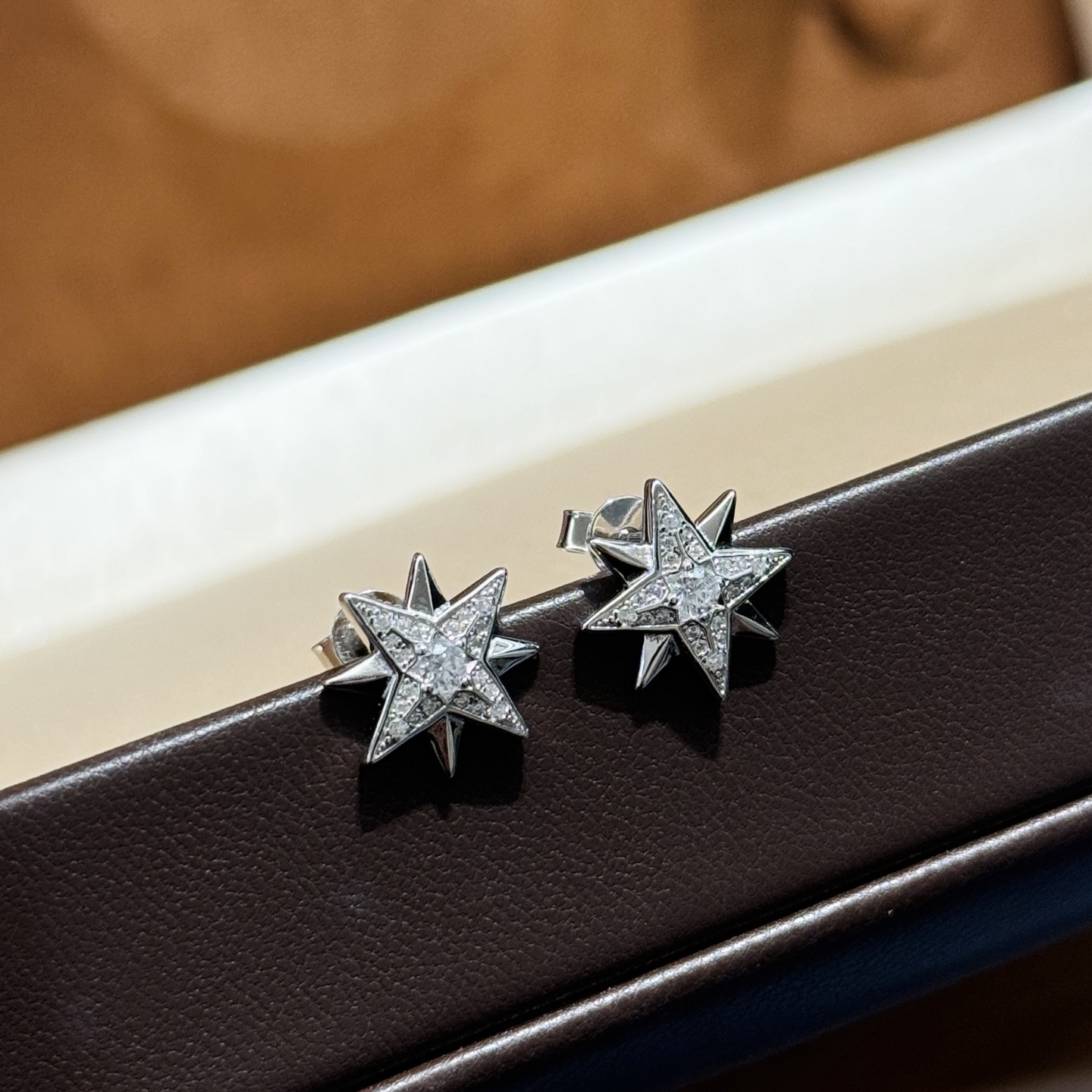 [TOP] Christian Dior Earrings -Sliver