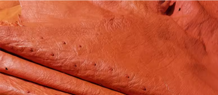 [TOP] HERMES Customised  Kelly Cut Ostrich Leather 31CM - Orange - GHW&SHW