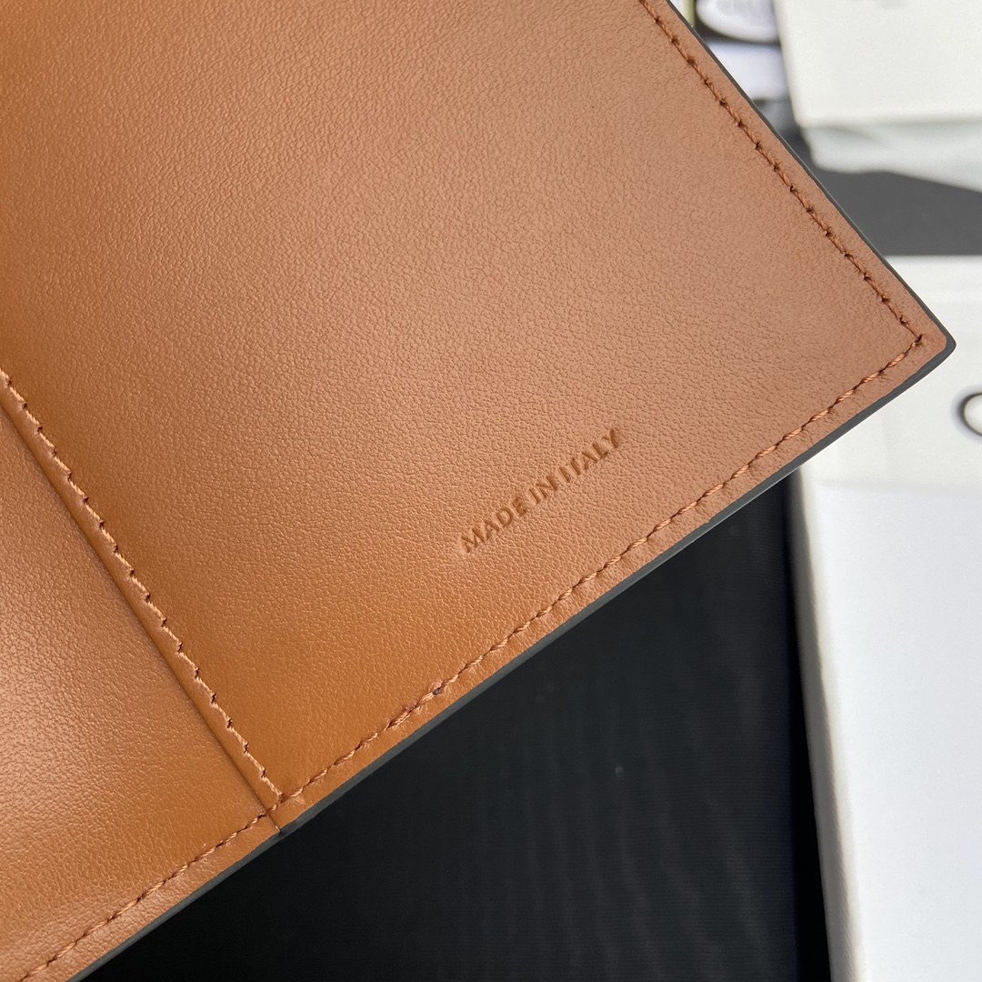 [TOP] CELINE Triomphe Logo Print Passport Holder 10x13.5x2cm - Brown