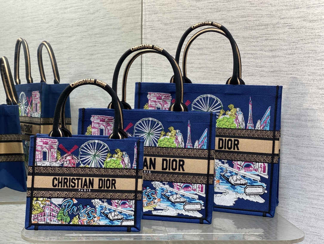 [TOP] Christian Dior  Book Tote Bag - 3 Sizes - Blue