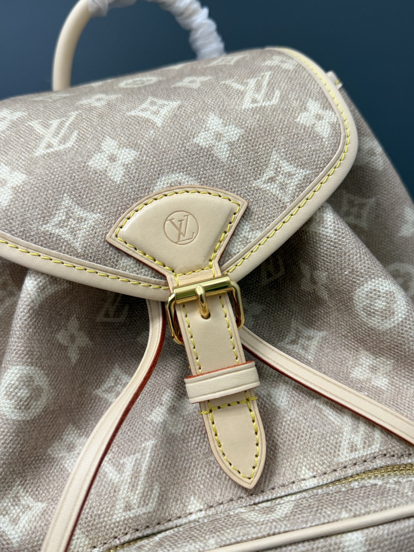 [TOP] Louis Vuitton LV Travels With Montsouris Backpack 30 x 18 x 28 cm - Beige