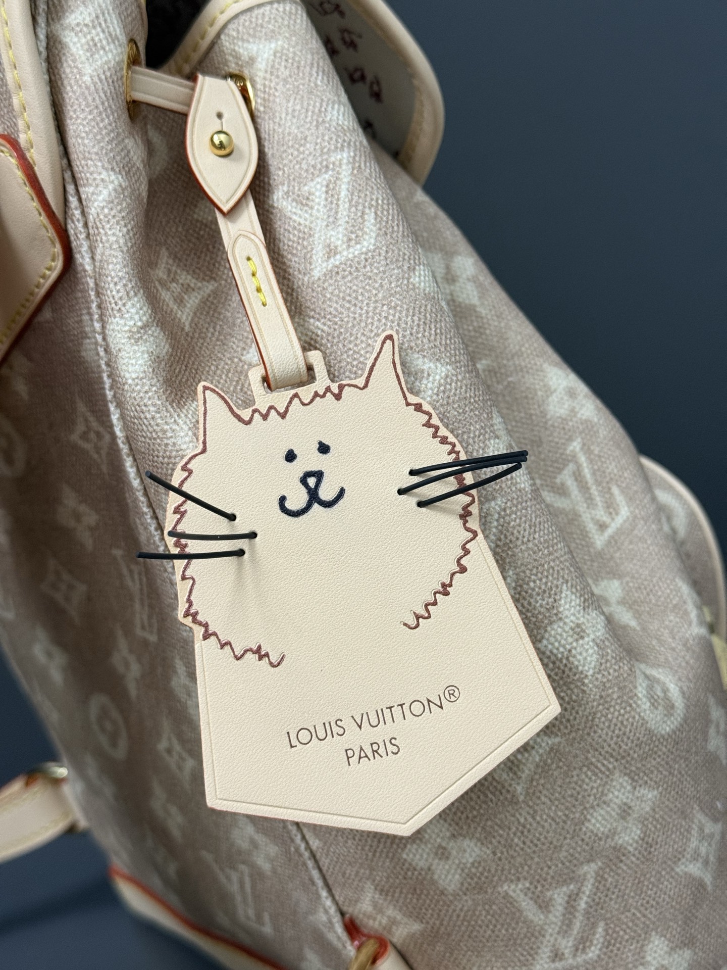 [TOP] Louis Vuitton LV Travels With Montsouris Backpack 30 x 18 x 28 cm - Beige