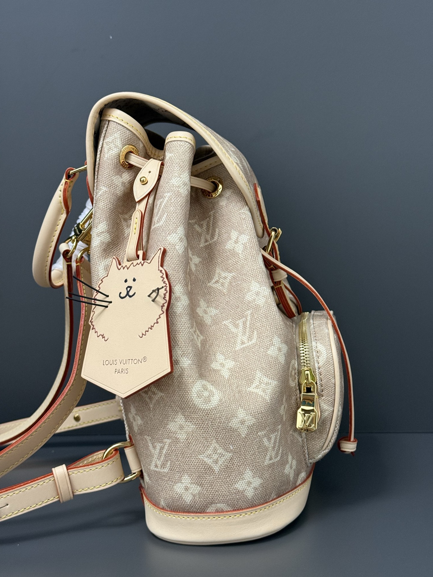 [TOP] Louis Vuitton LV Travels With Montsouris Backpack 30 x 18 x 28 cm - Beige