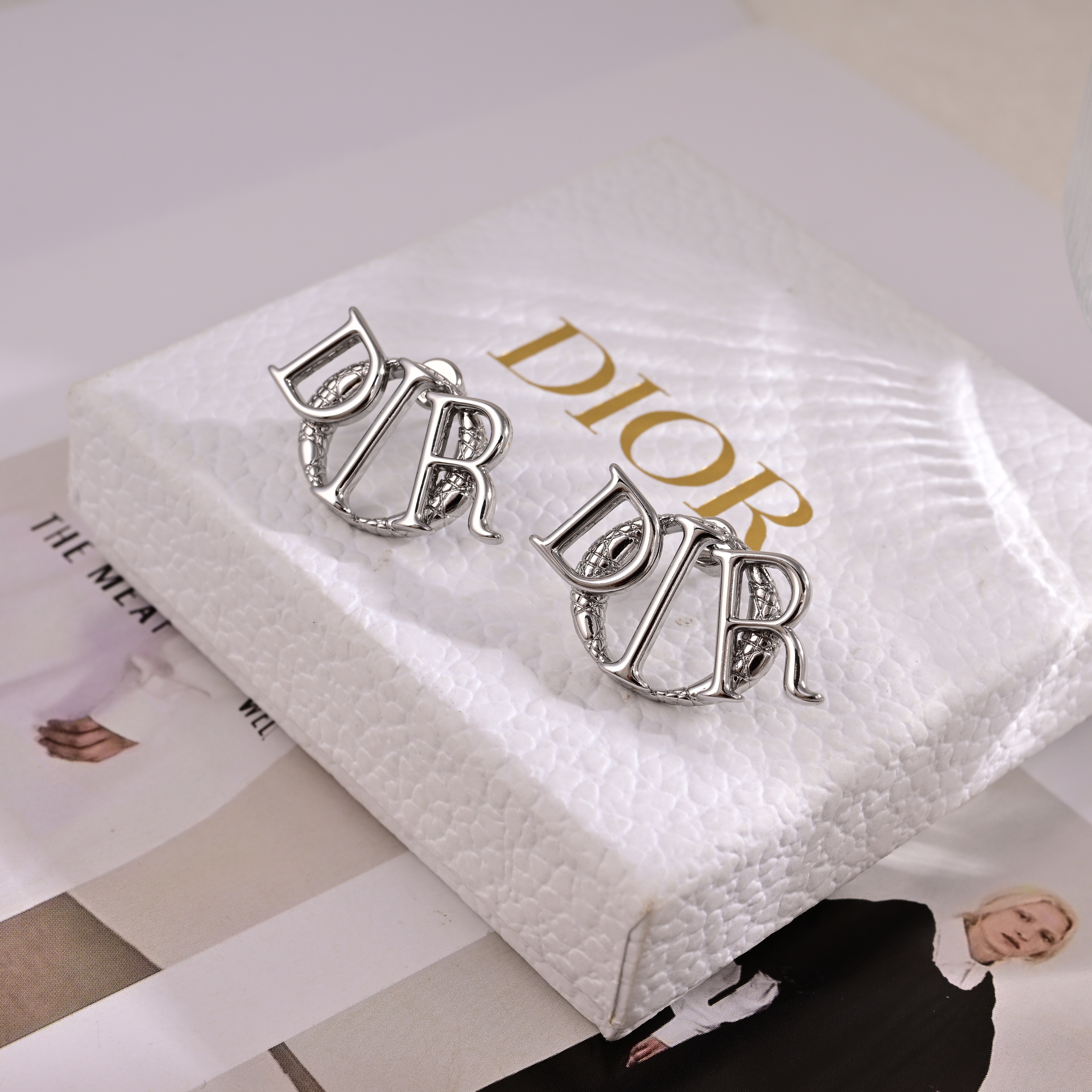 [TOP] Christian Dior Earrings - Sliver