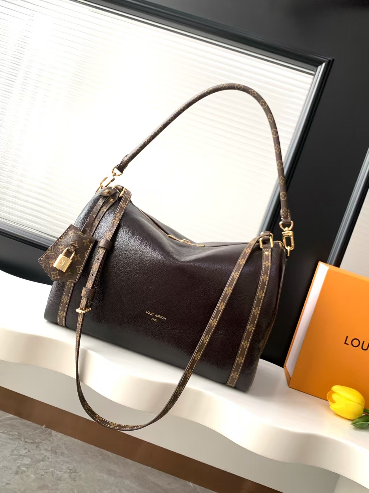 [TOP] Louis Vuitton LV Express Bag 24x18.5x36 cm - Chocolate