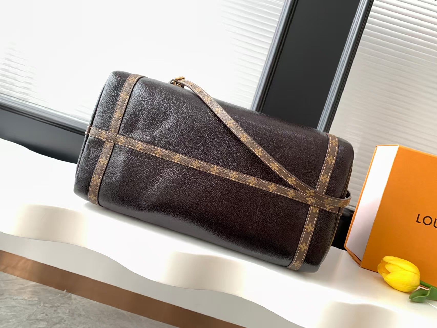 [TOP] Louis Vuitton LV Express Bag 24x18.5x36 cm - Chocolate