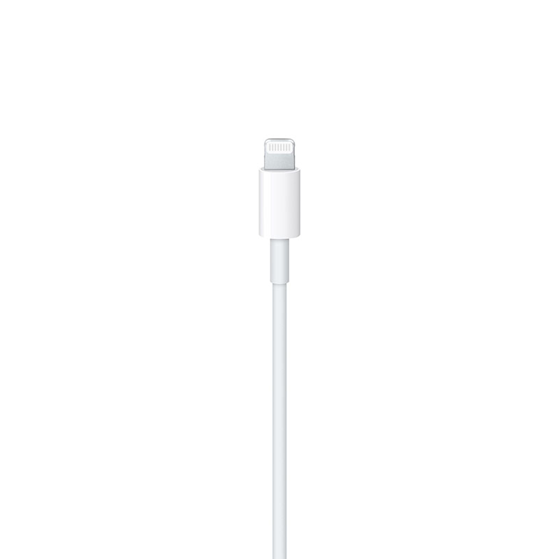 USB-C to Lightning Cable (1 m)