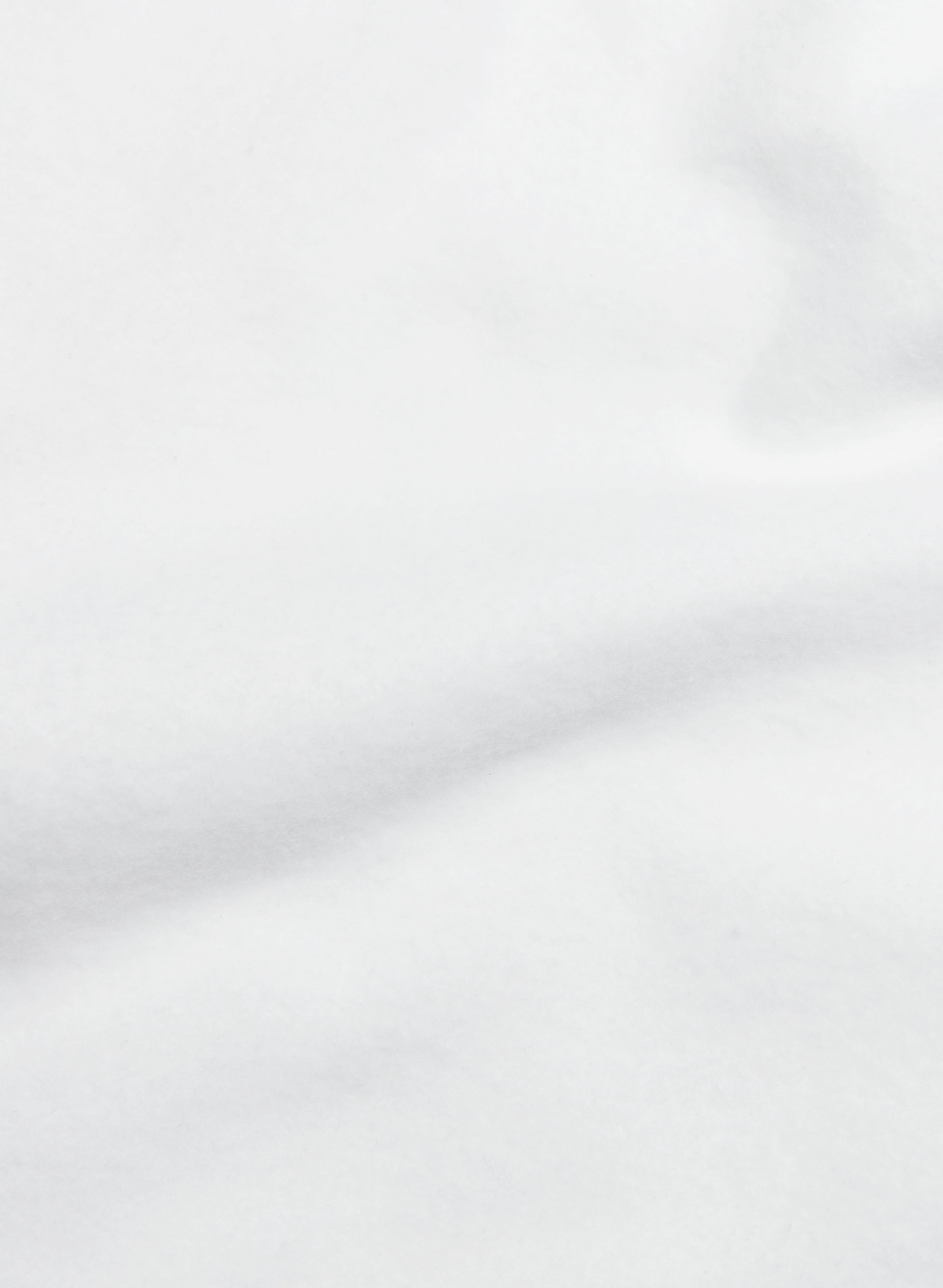 Cozy Fleece Boyfriend Basic 3" Sweatshort