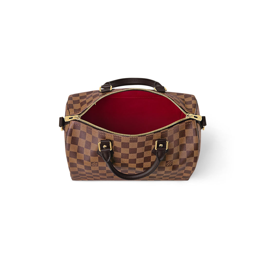 Louis Vuitton Bags Speedy