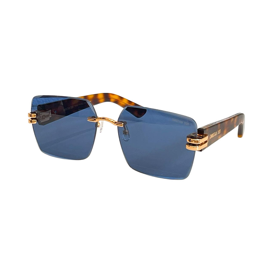 DIOR square frame glasses leopard blue/leopard brown color Size 66口13-140