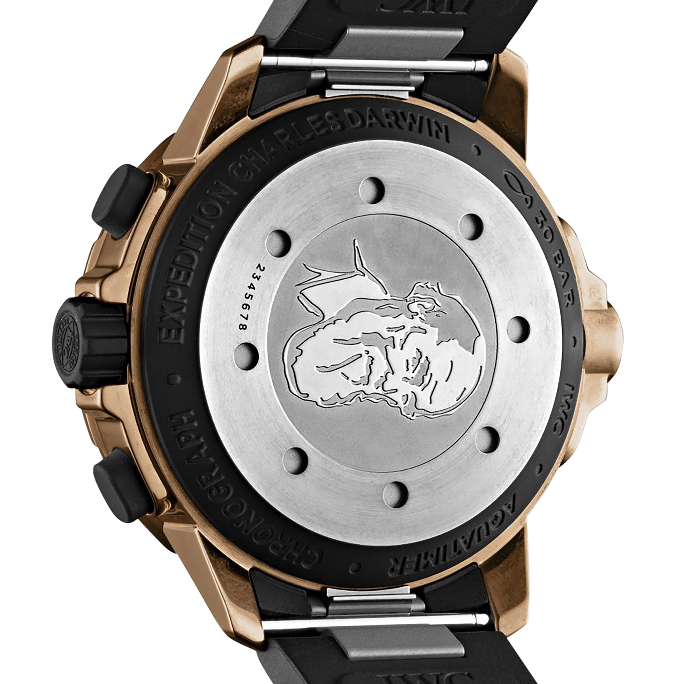 IWC Aquatimer quote.Expedition Charles Darwin quote. 44mm Mens Watch IW379503