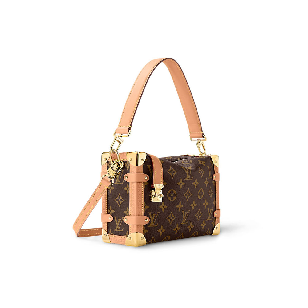 Louis Vuitton Bags Side Trunk