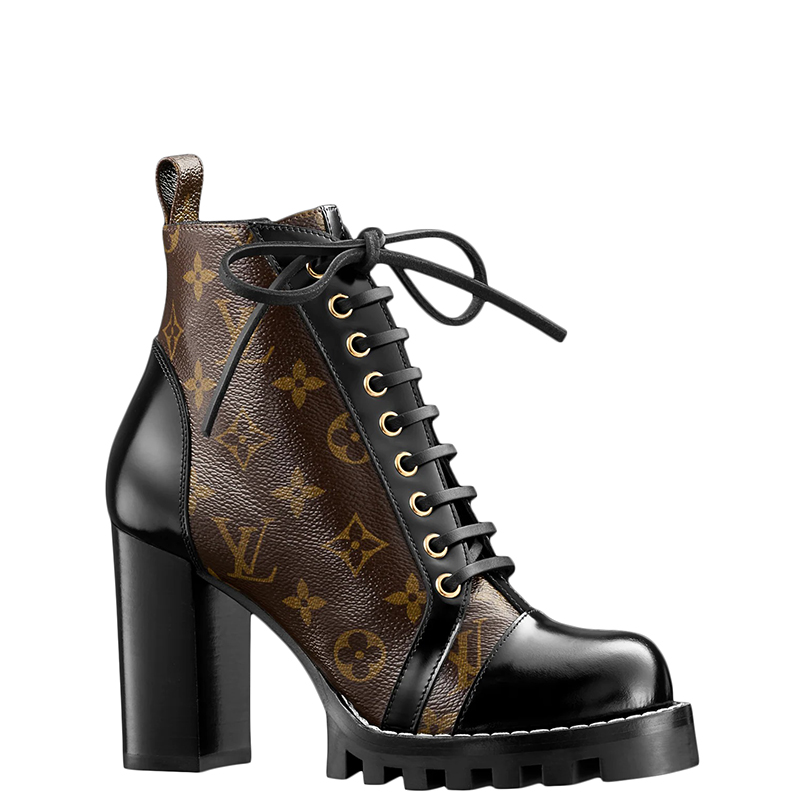 Louis Vuitton Chunky heels and ankle boots