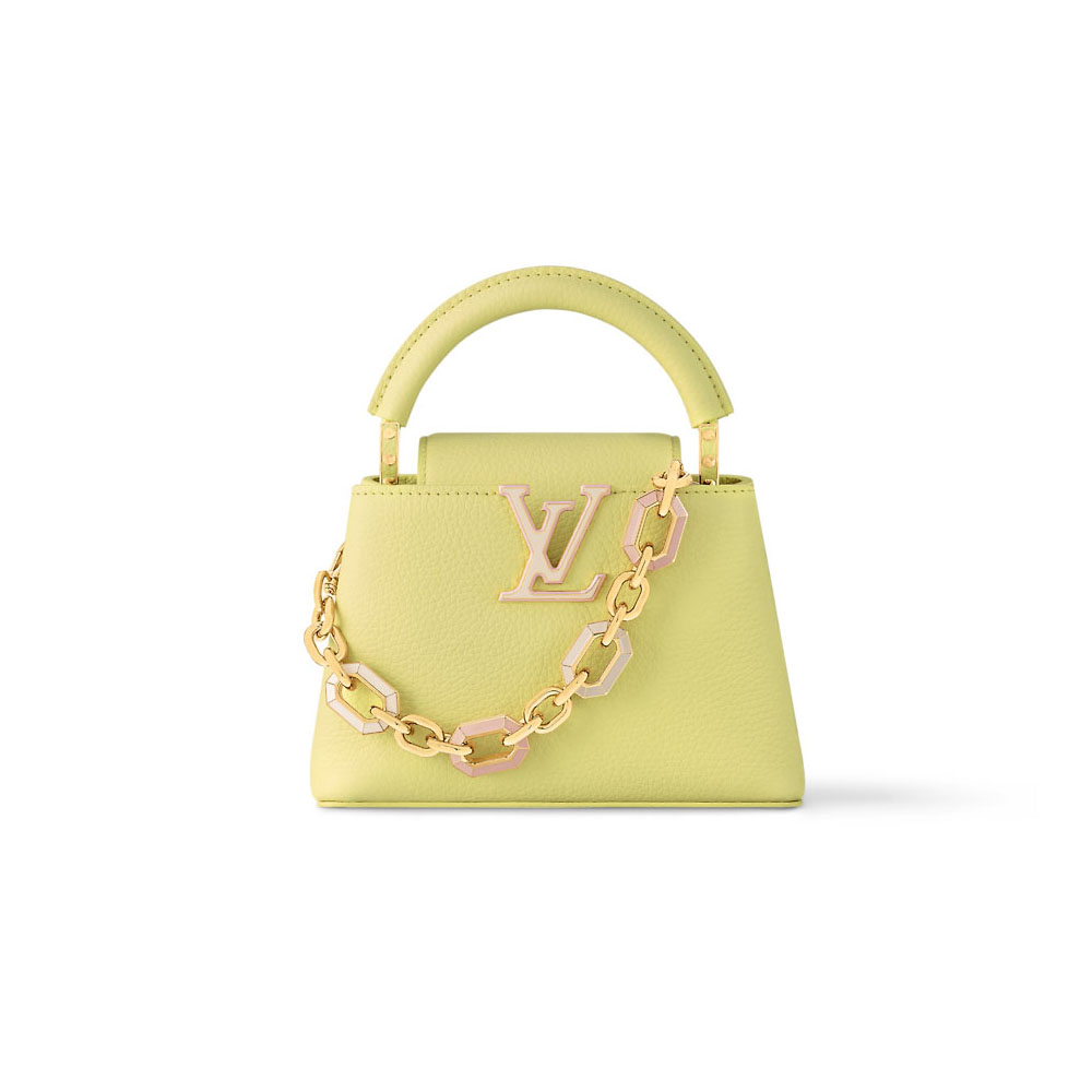 Louis Vuitton Bags Capucines