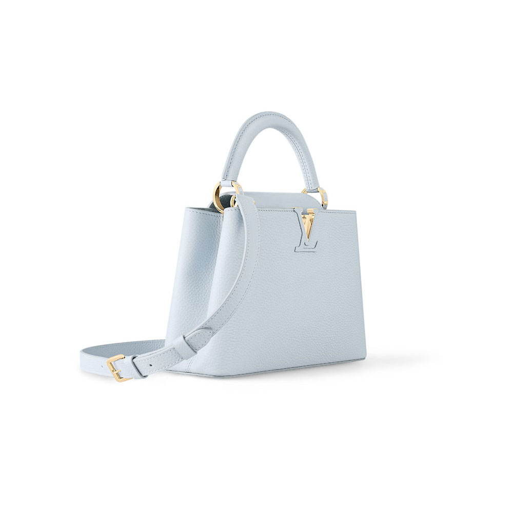 Louis Vuitton Bags Capucines