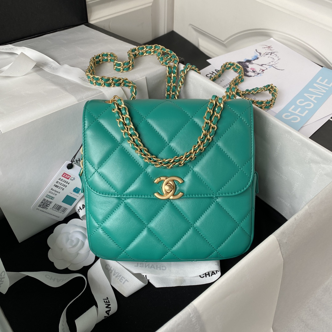 Chanel Green / White / Pink / Black Quilted Lambskin Leather Backpacks