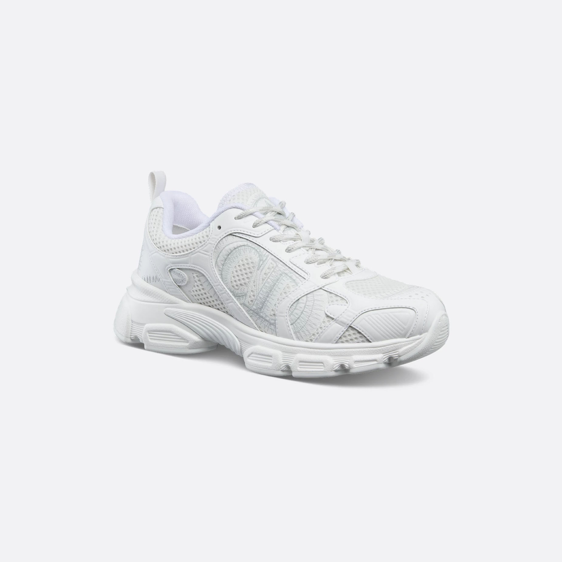 Dior gray sneakers