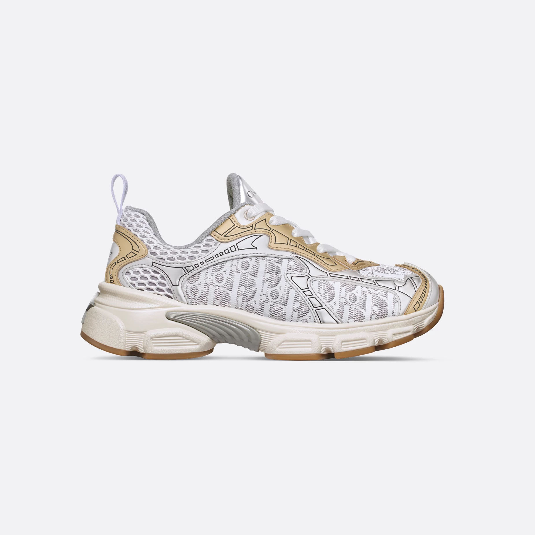 Dior sneakers