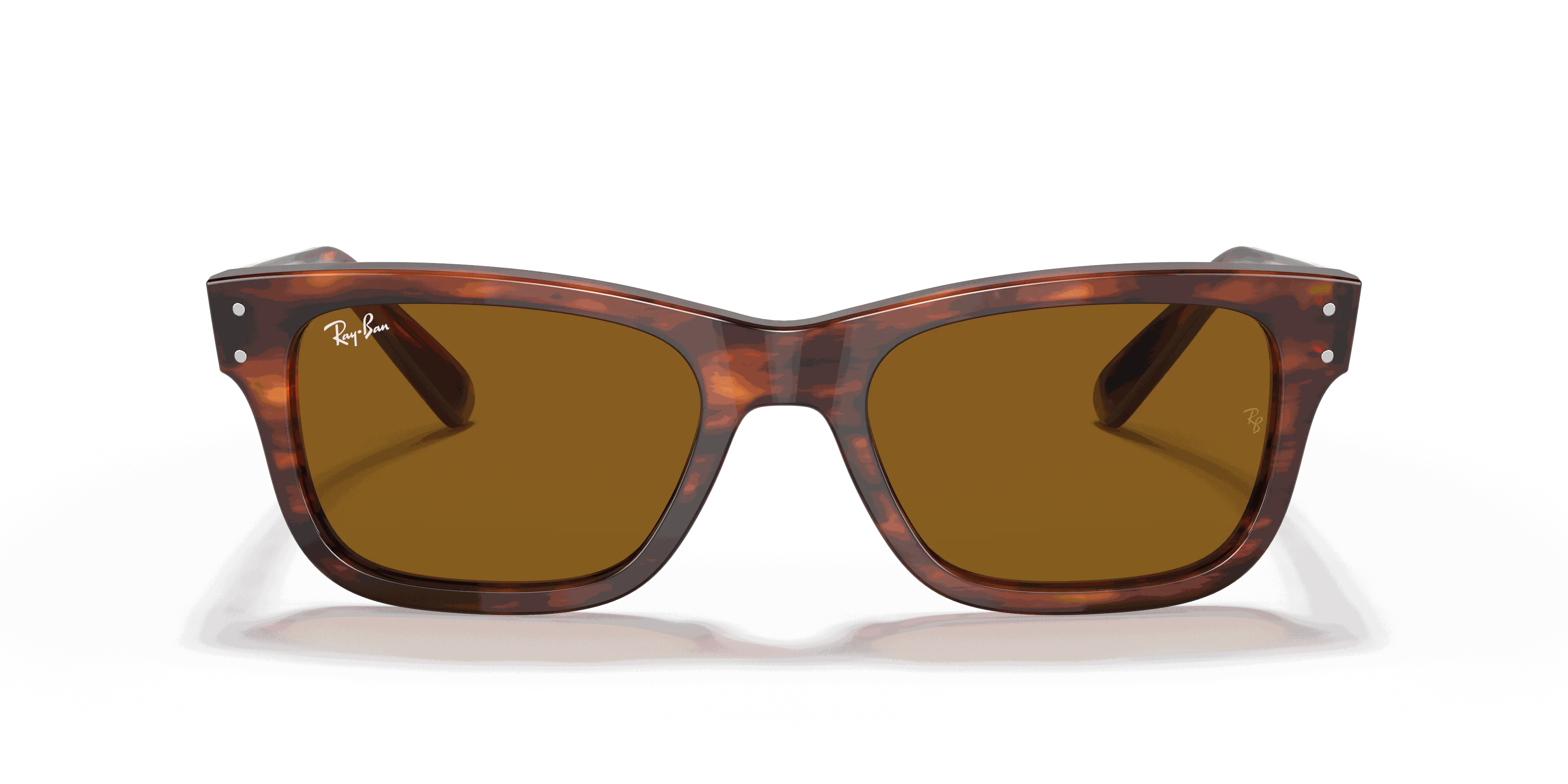 RayBan BURBANK