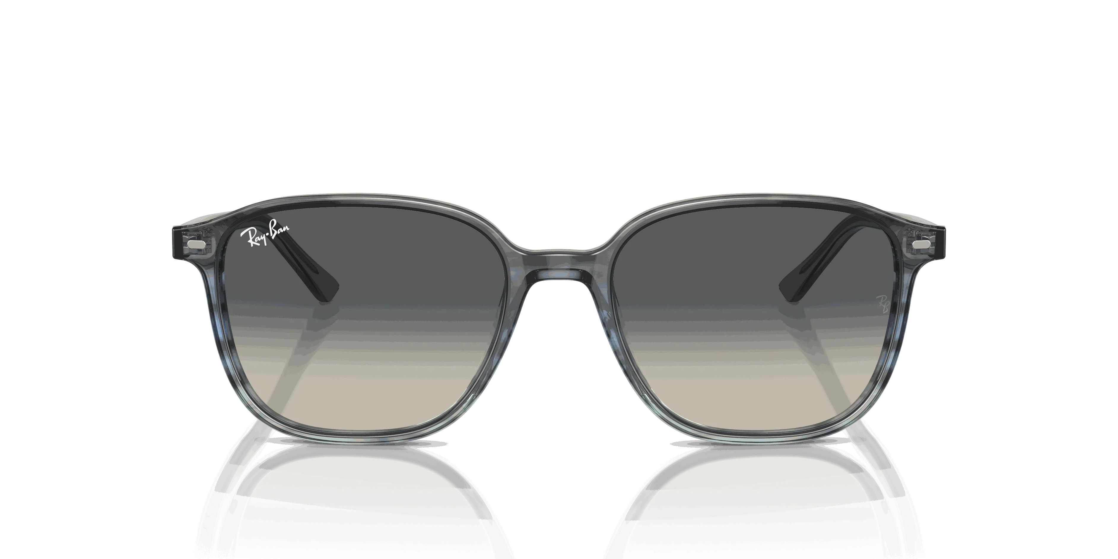 RayBan LEONARD