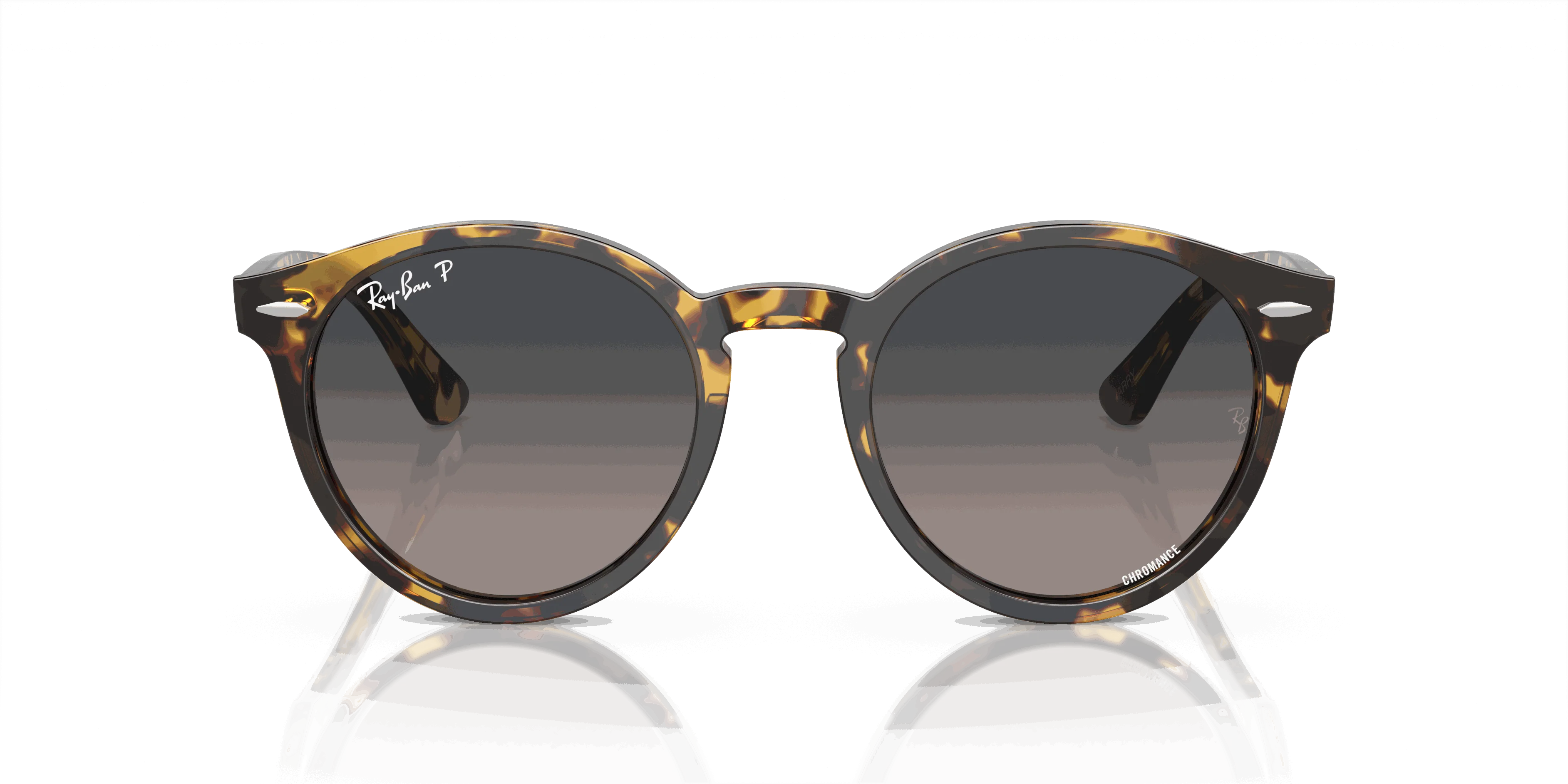 RayBan LARRY