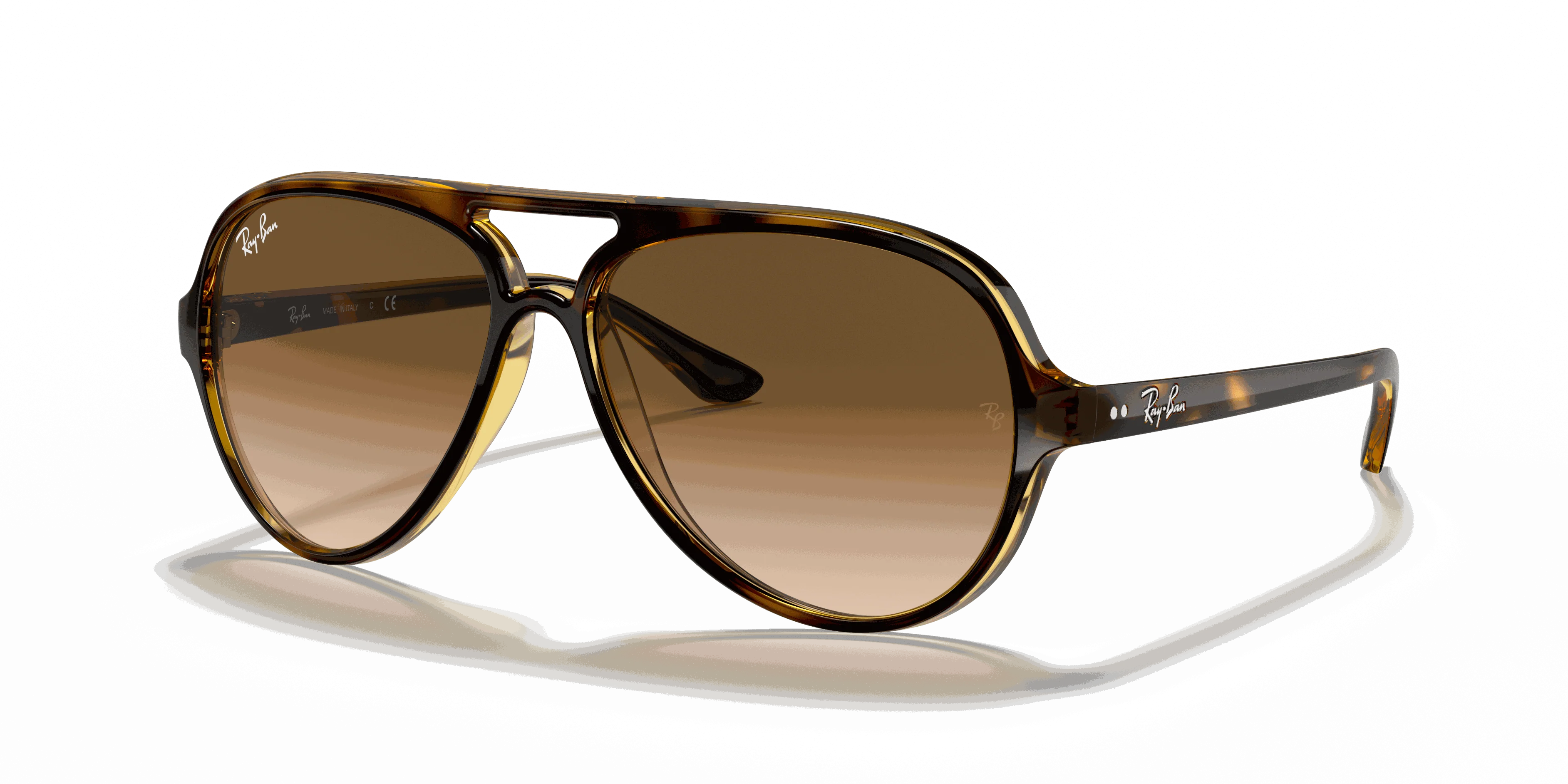 RayBan CATS 5000 CLASSIC