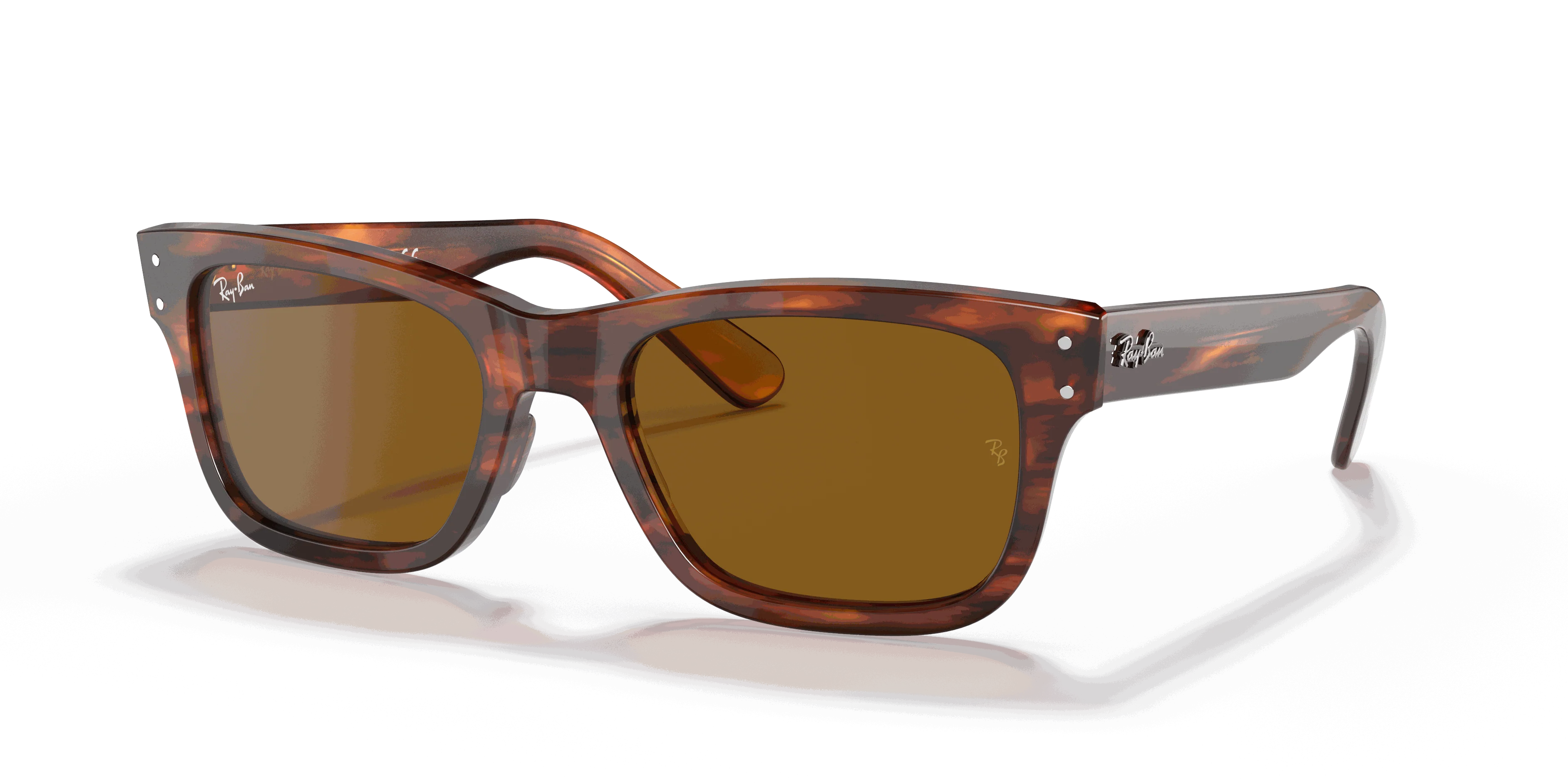 RayBan BURBANK
