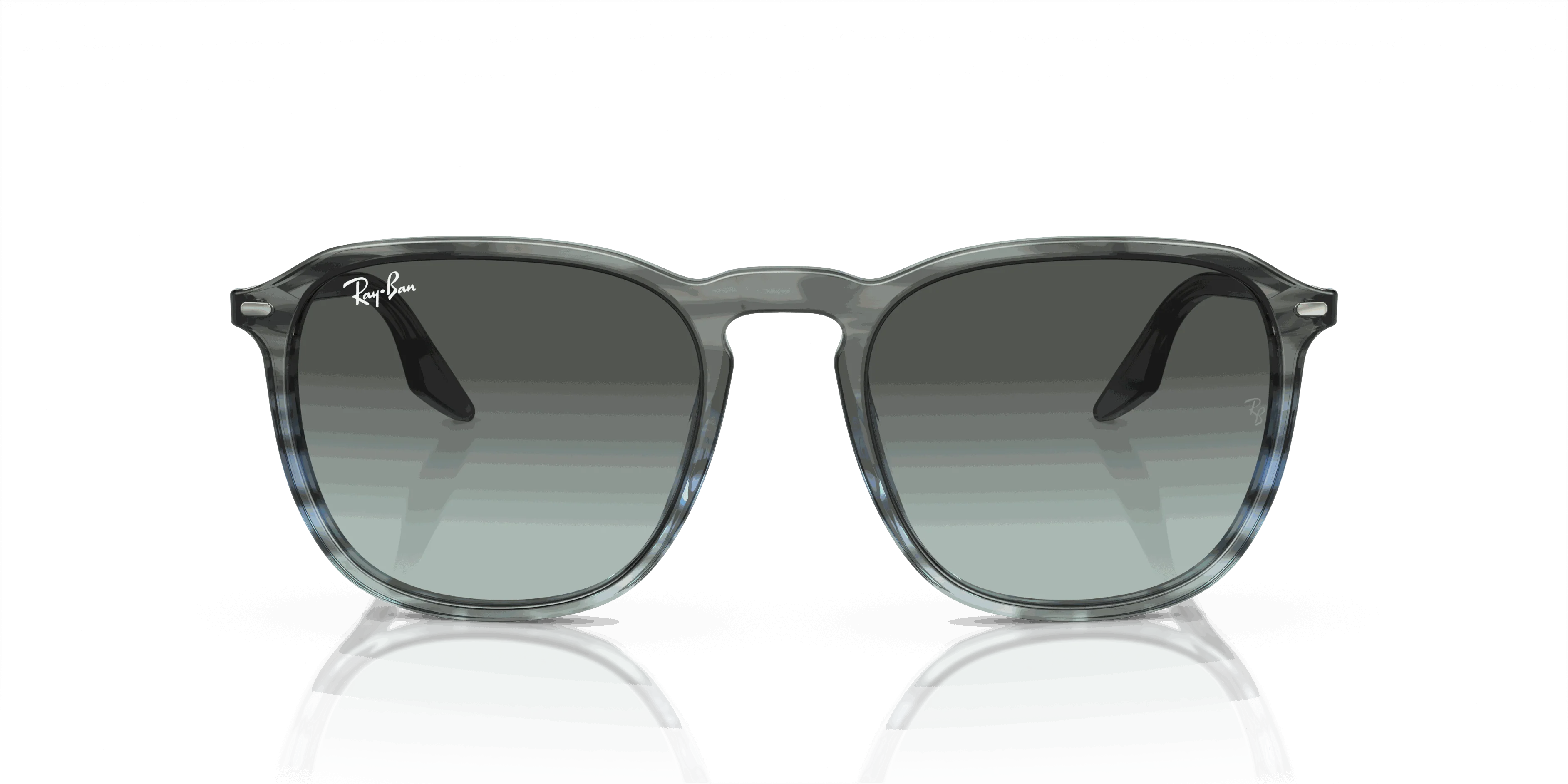 RayBan RB2203