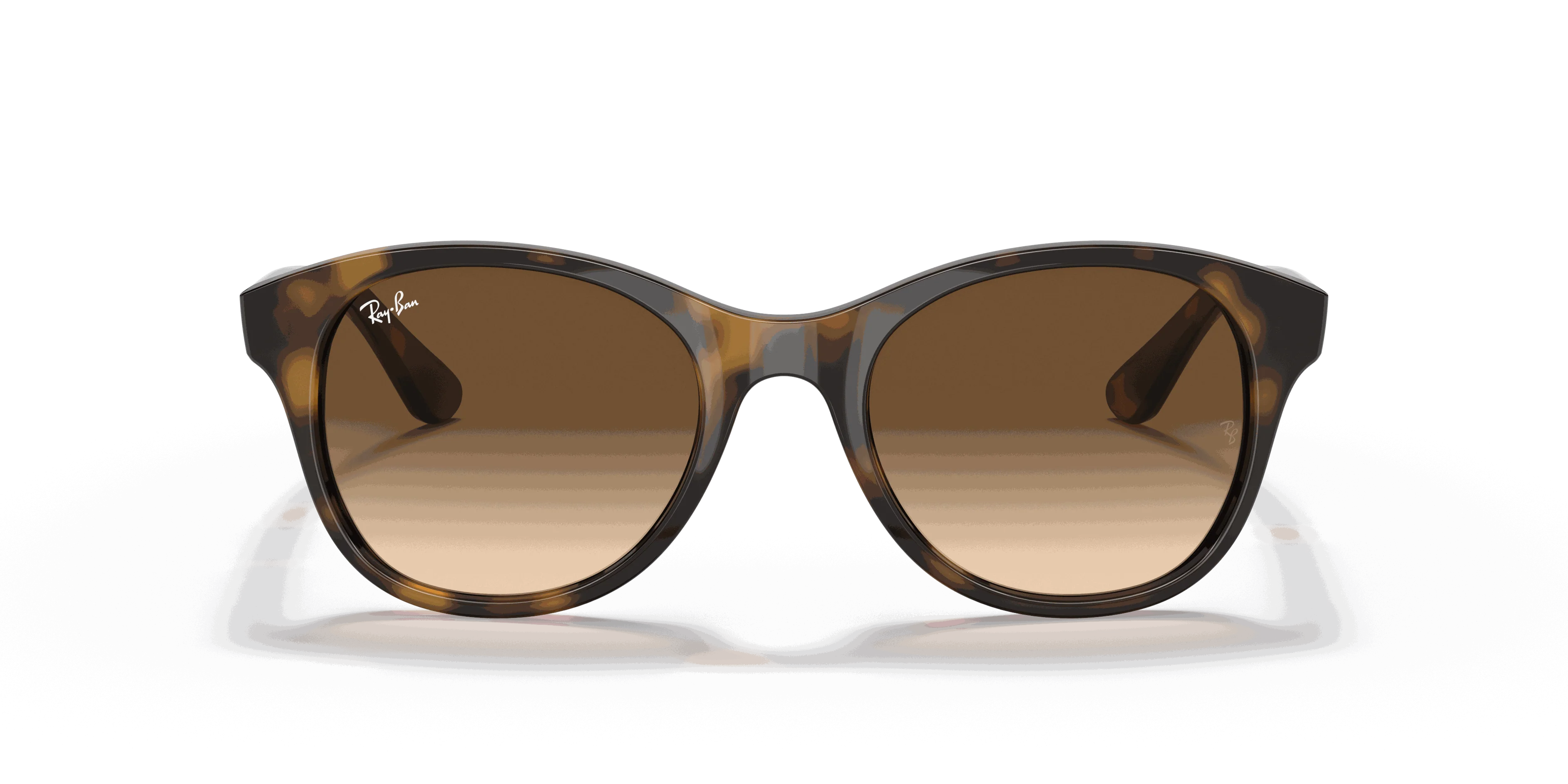 RayBan RB4203