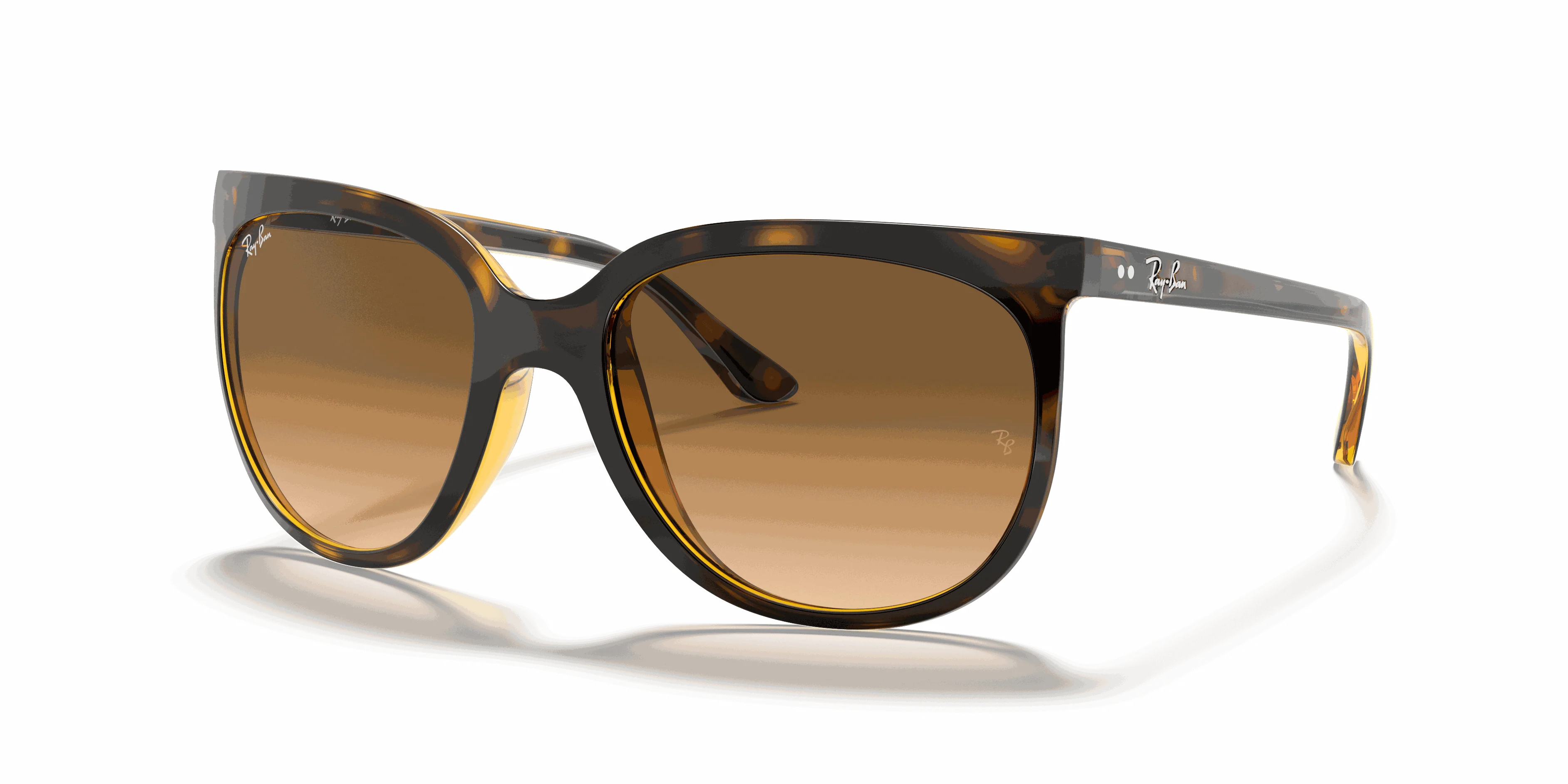 RayBan CATS 1000