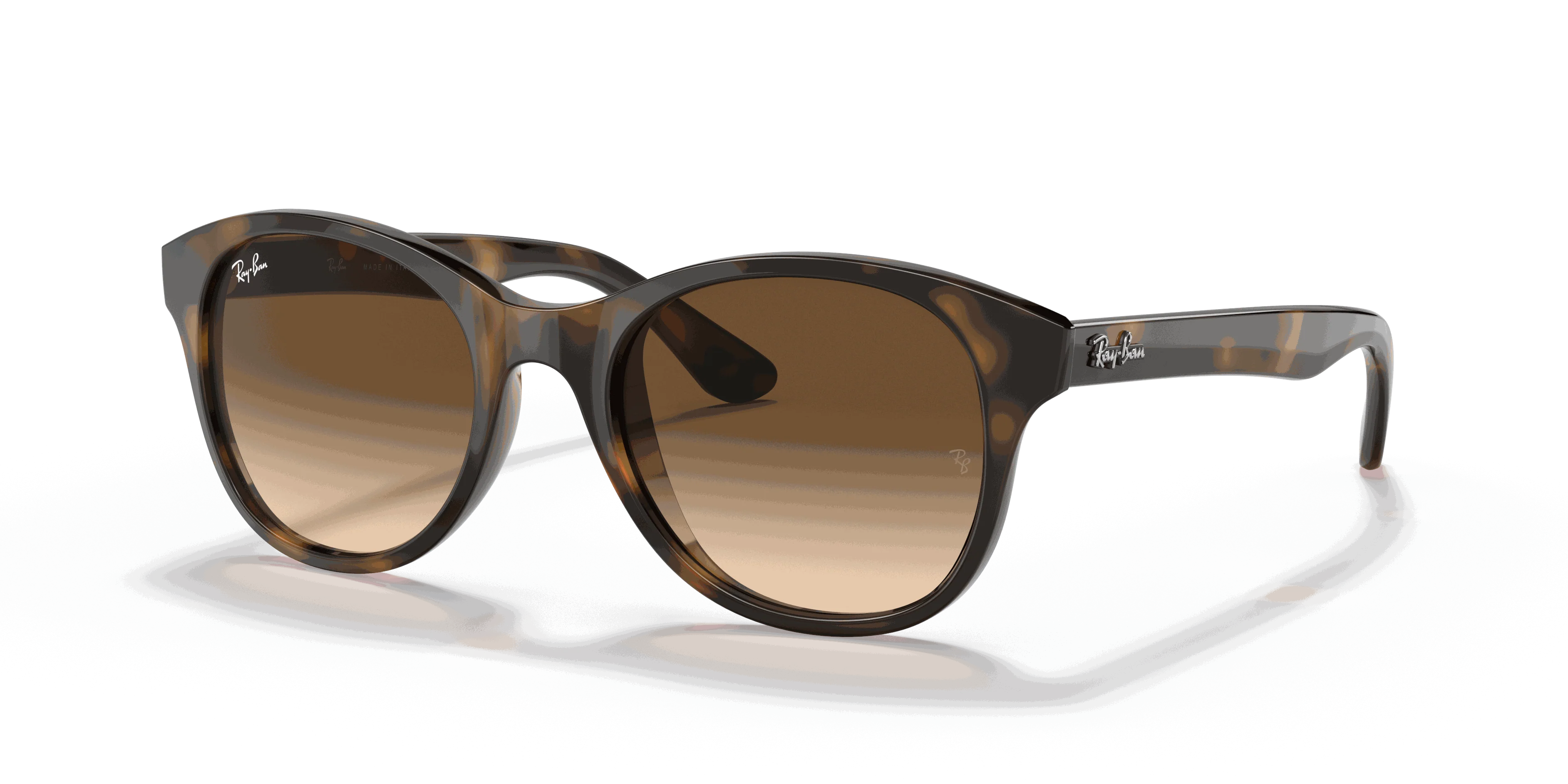 RayBan RB4203