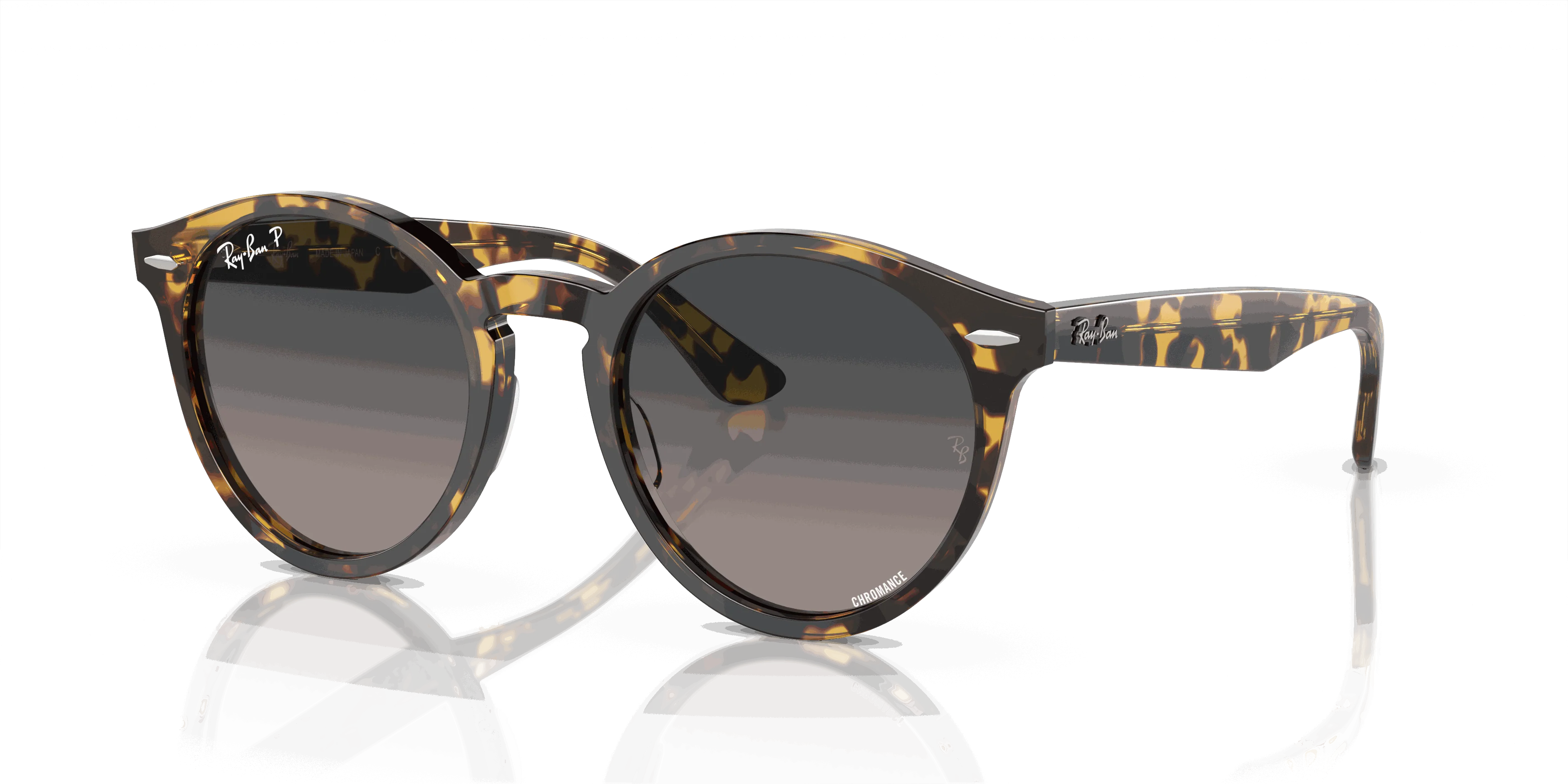 RayBan LARRY