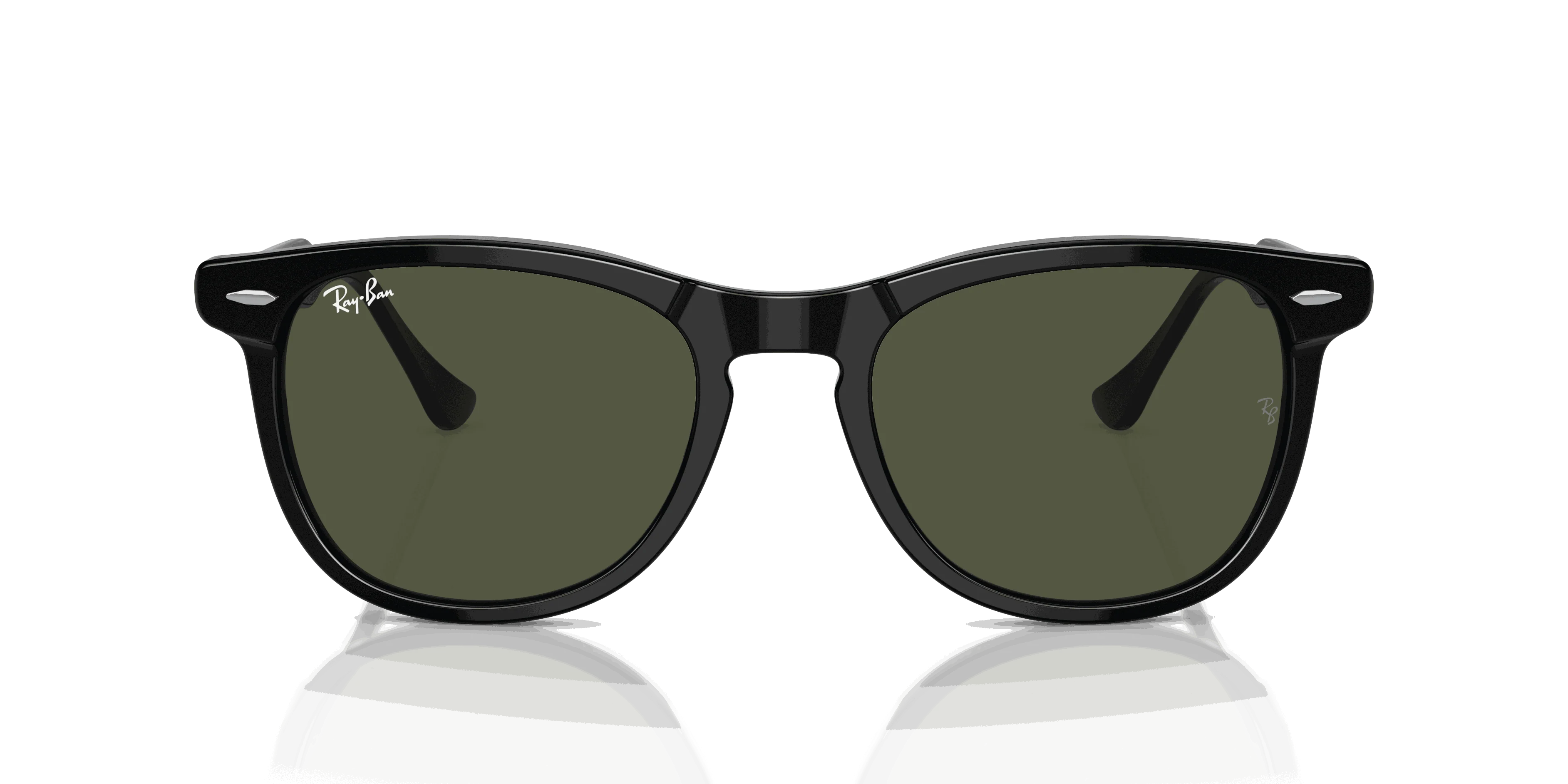 RayBan EAGLE EYE