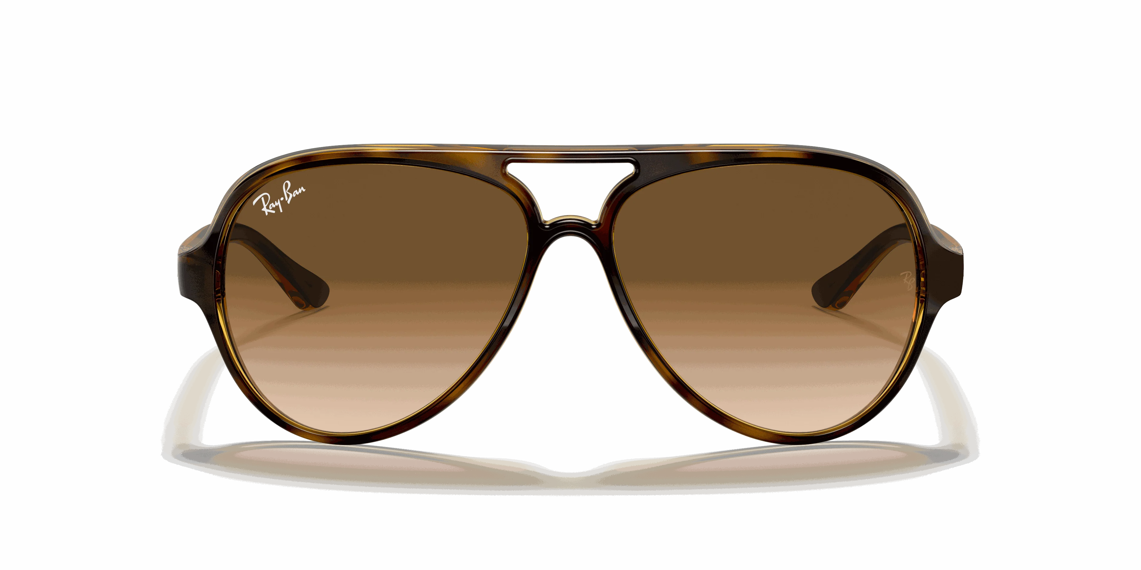 RayBan CATS 5000 CLASSIC