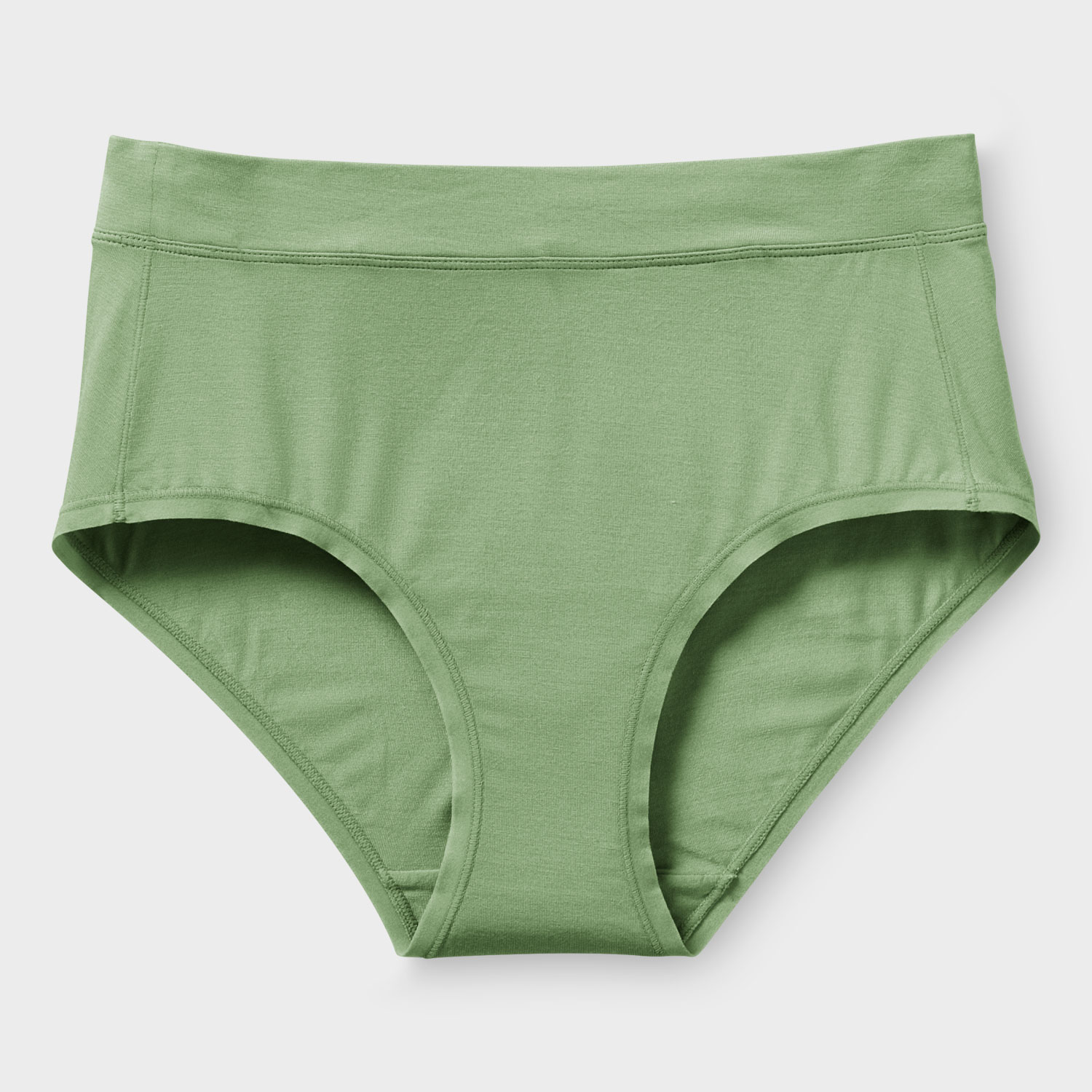 Women's Plus Dang Soft Modern Briefs