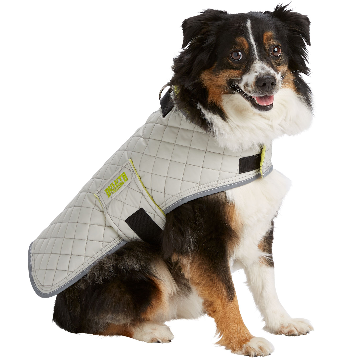Puffer Dog Jacket